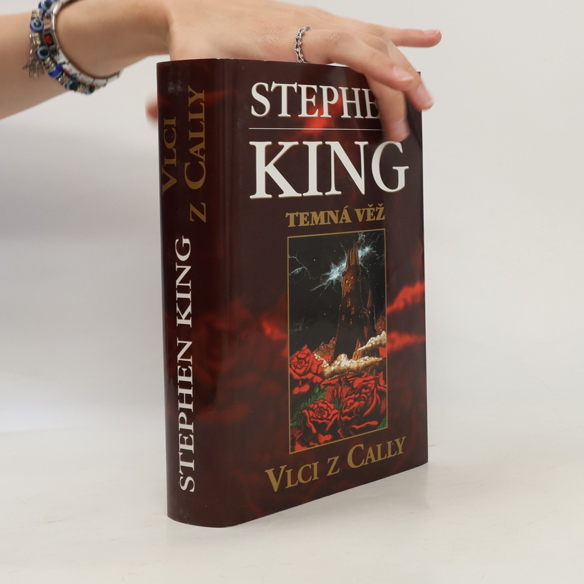 Stephen King Temná věž: Vlci z Cally