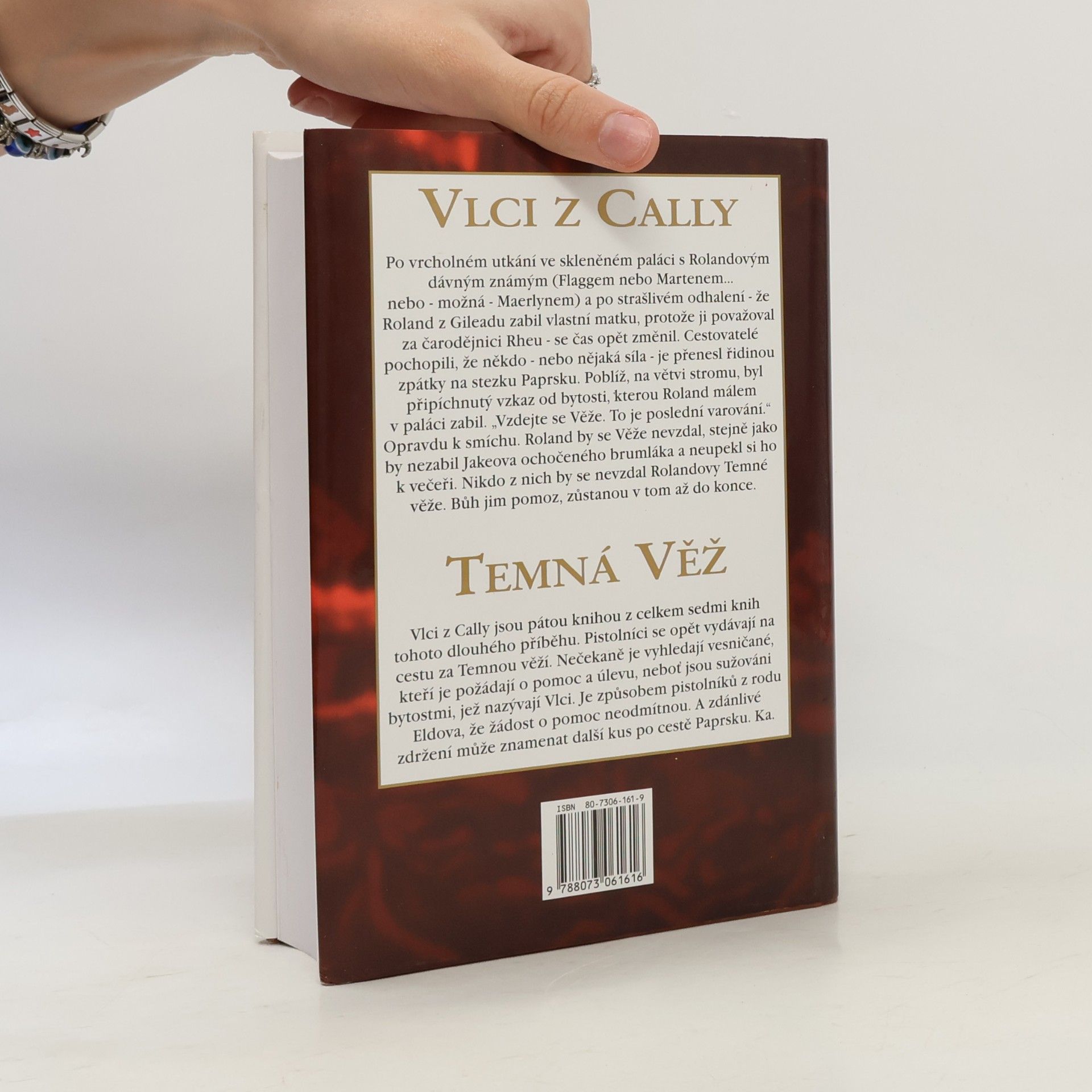 Stephen King Temná věž: Vlci z Cally
