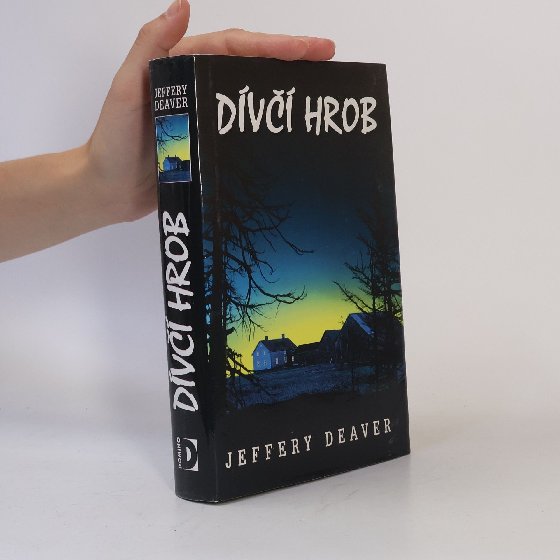 Jeffery Deaver Dívčí hrob