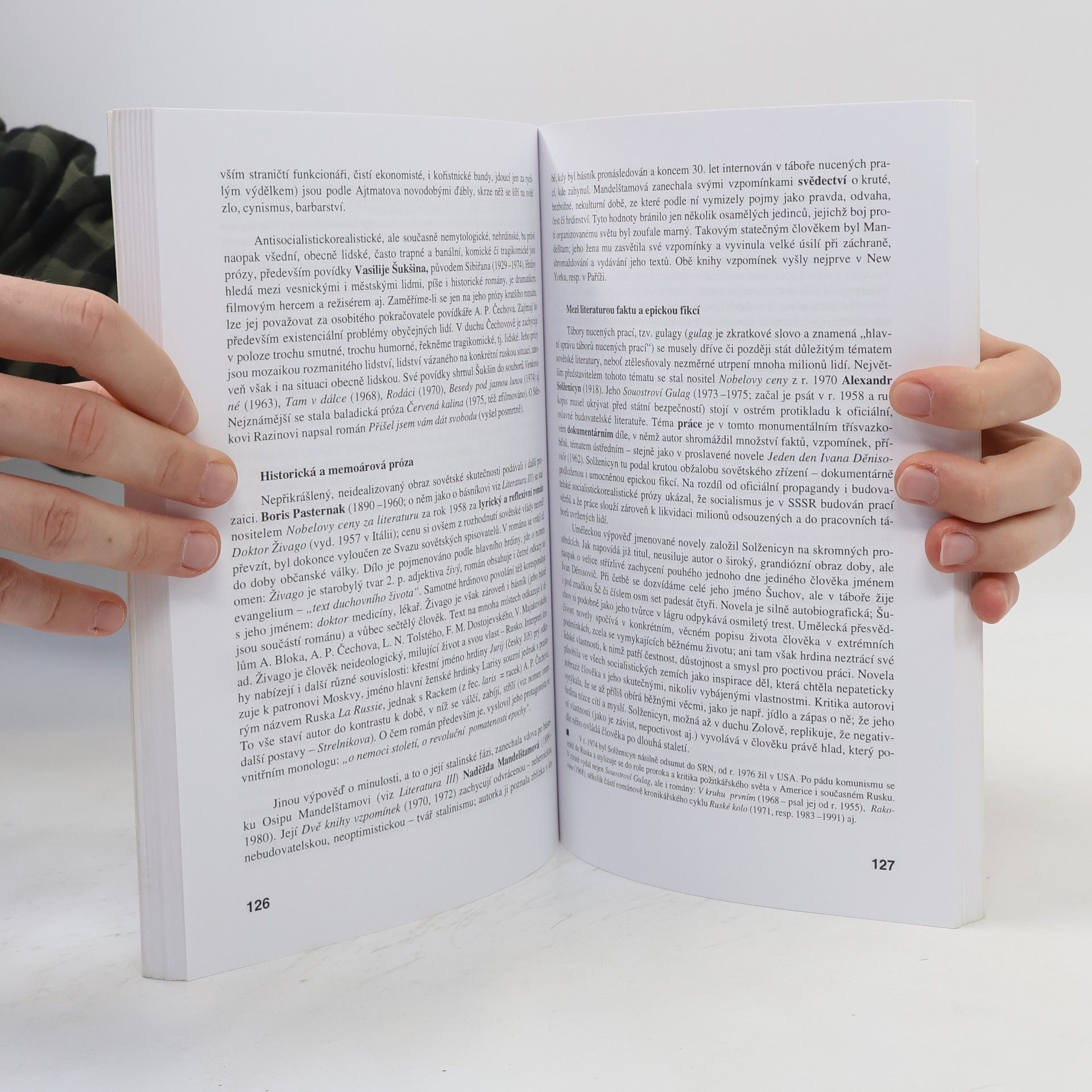 Bohuslav Hoffmann Literatura IV Výklad Interpretace Literární teorie