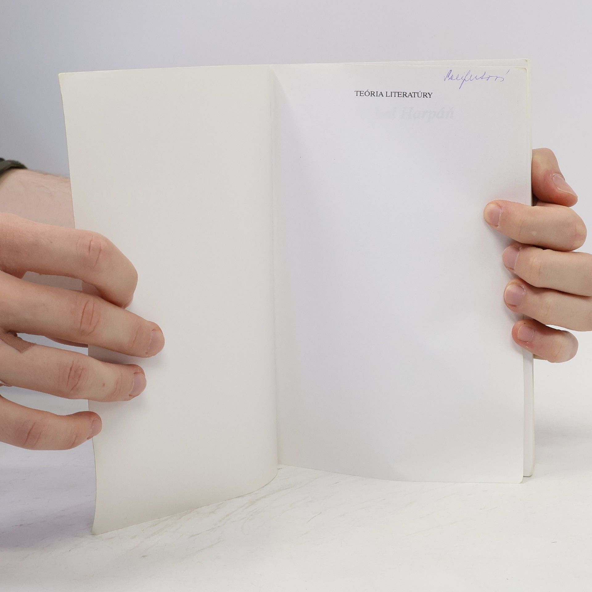 Michal Harpáň Teória literatúry