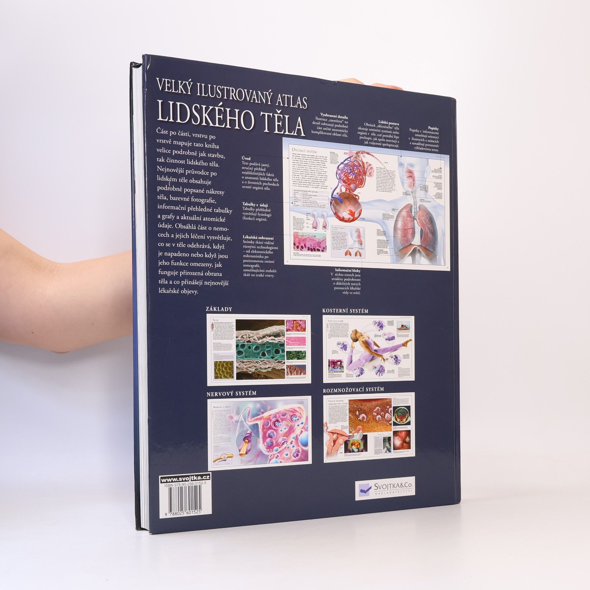 Beverly McMillan Velký ilustrovaný atlas lidského těla