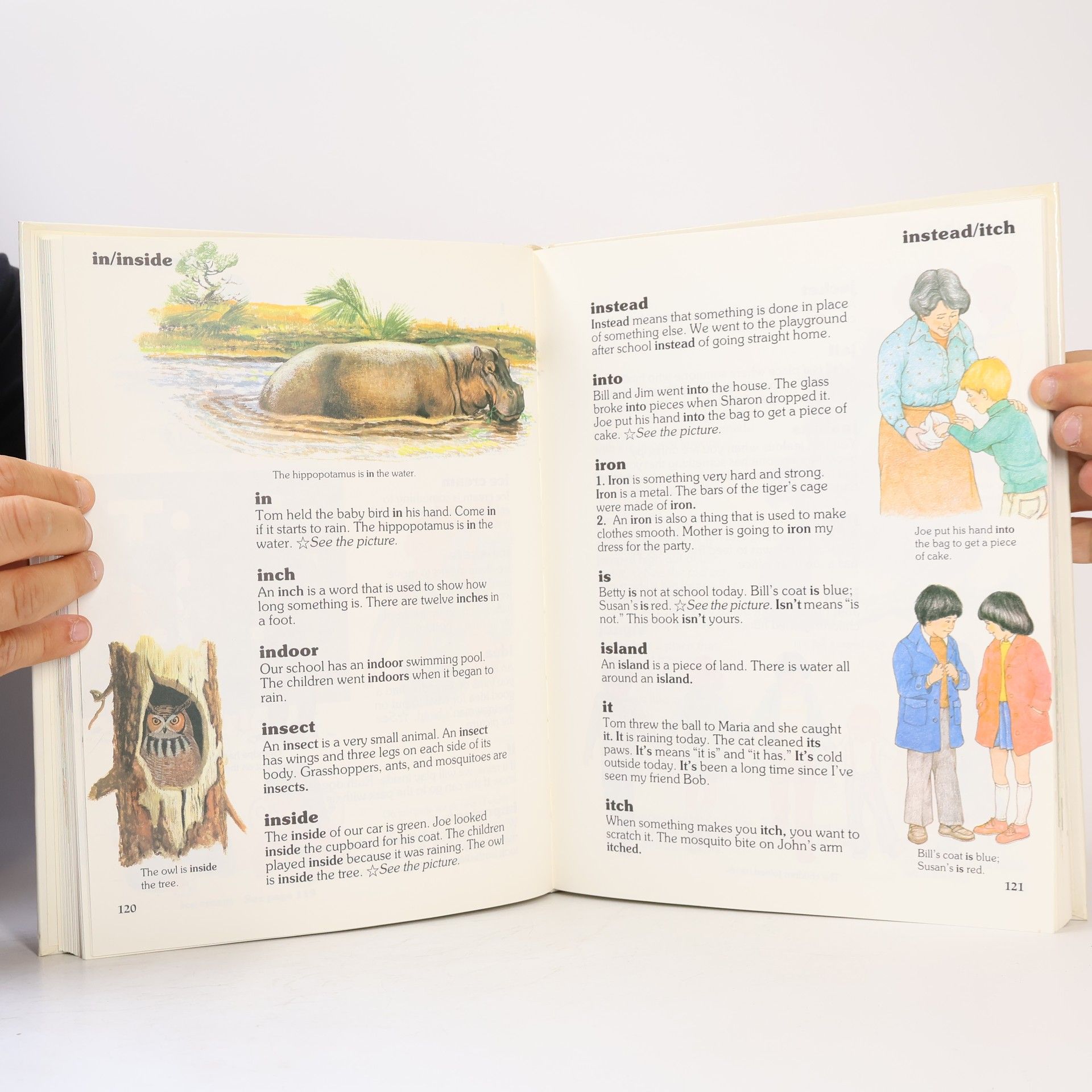 Auteurscollectief Illustrated First Dictionary