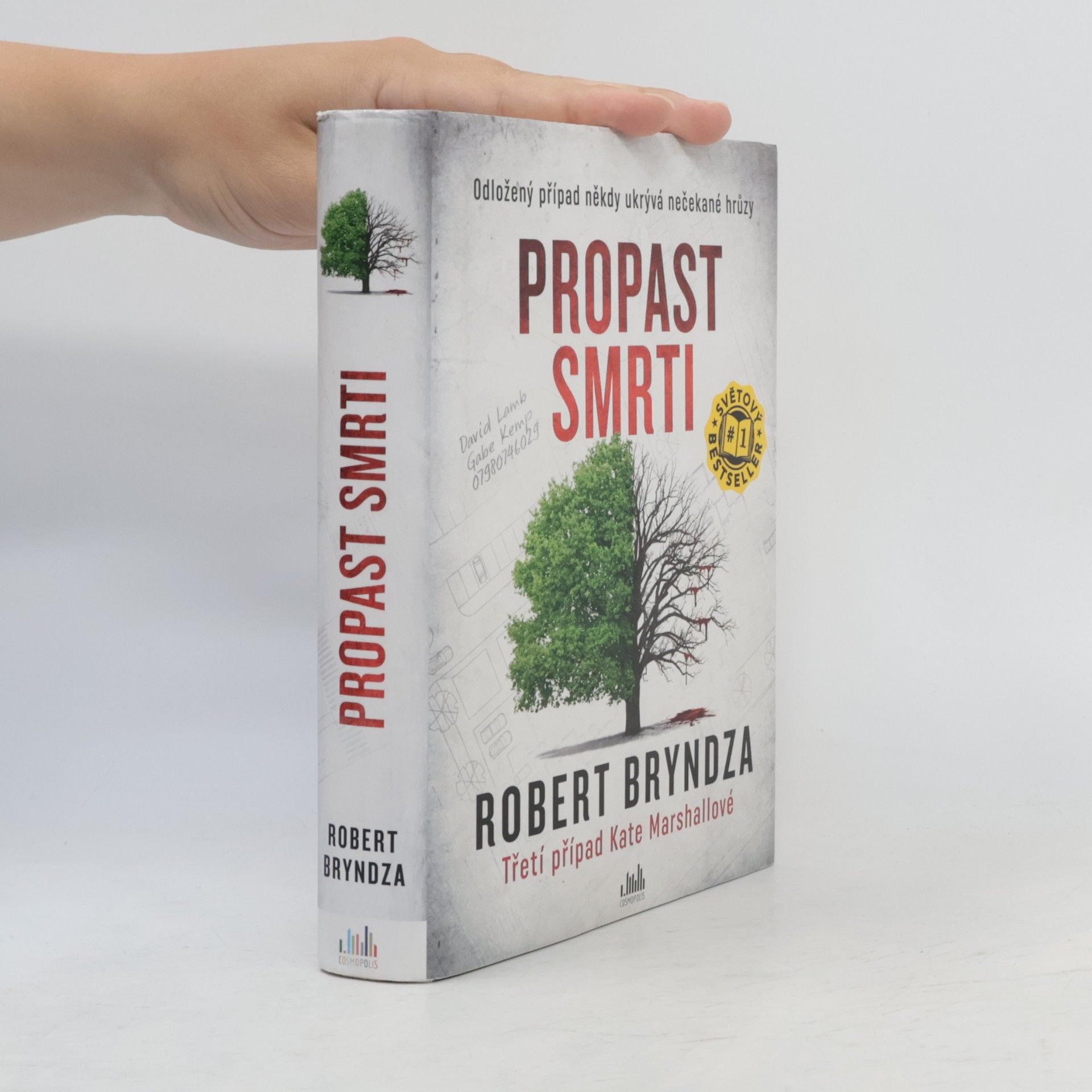 Robert Bryndza Propast smrti