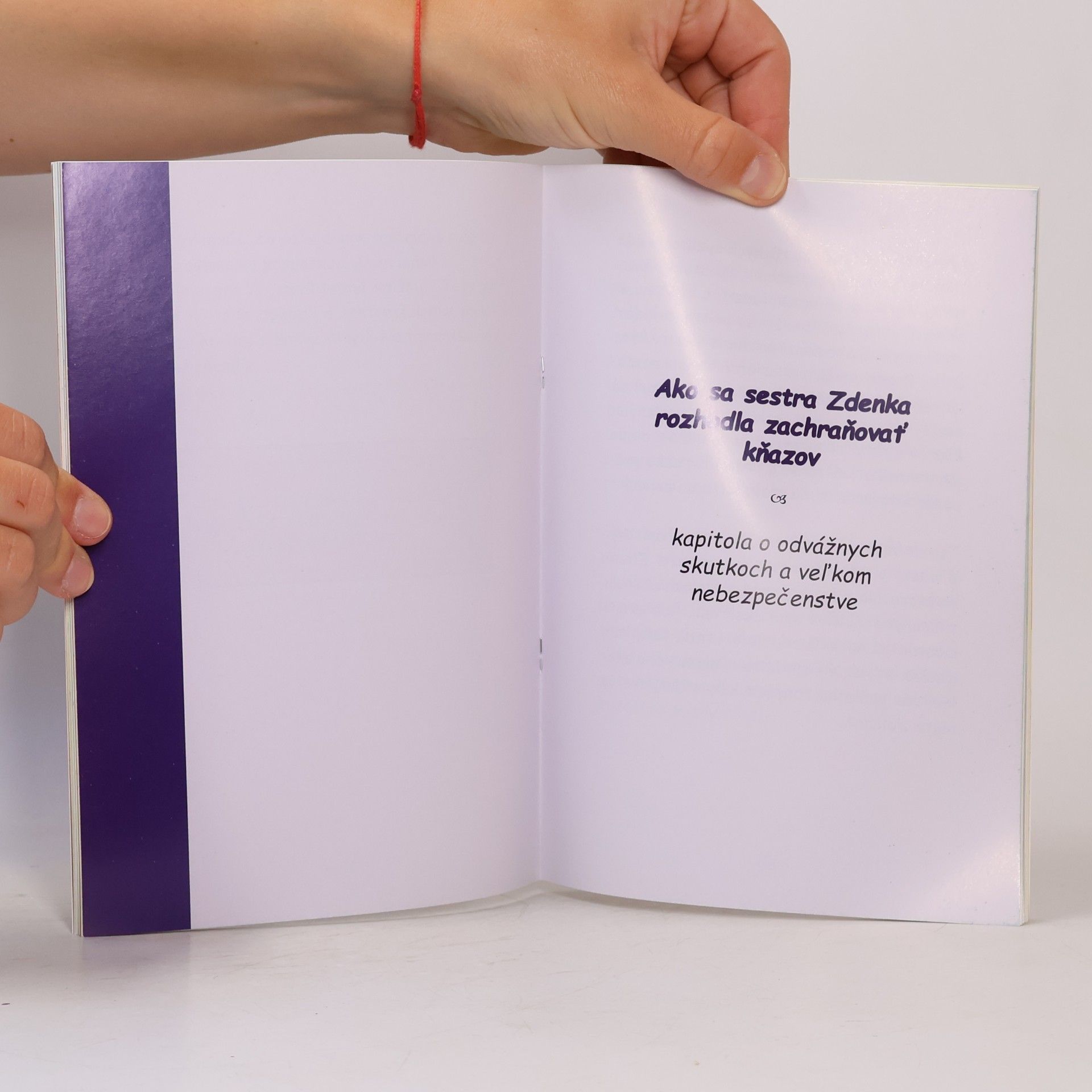 Autorenkollektiv O sestre Zdenke