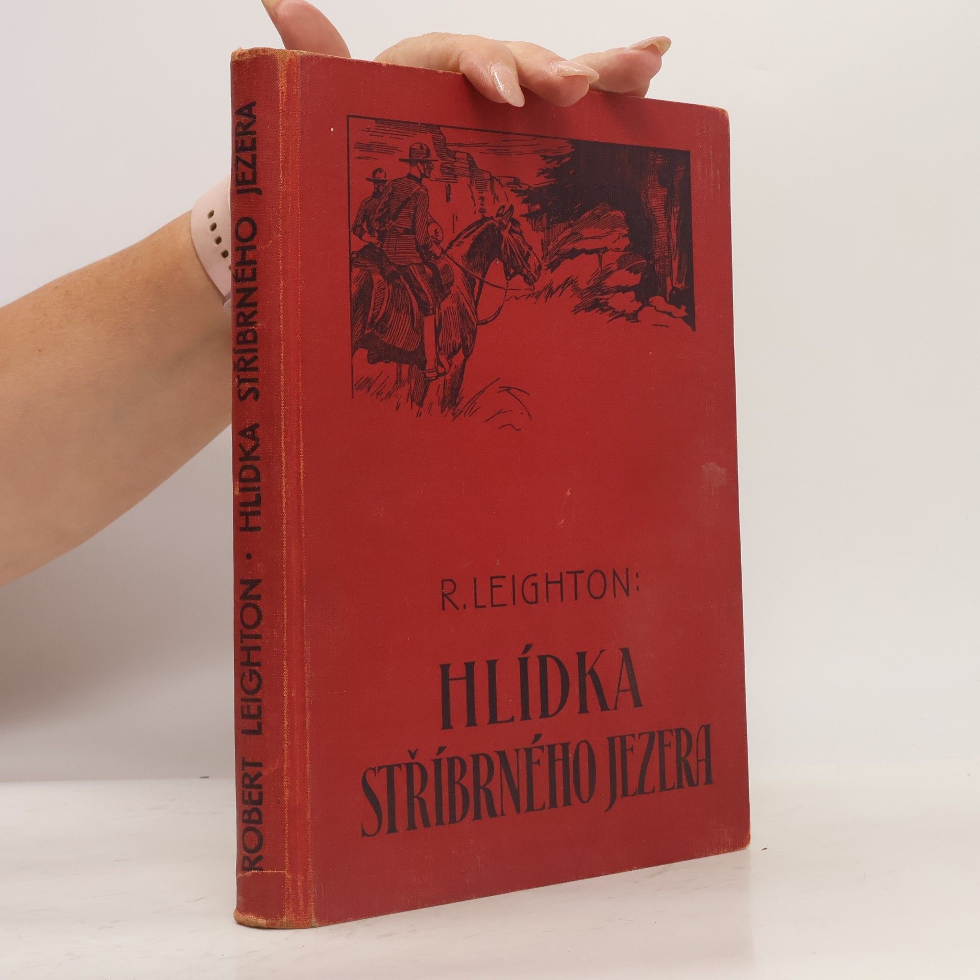 Hlídka stříbrného jezera
