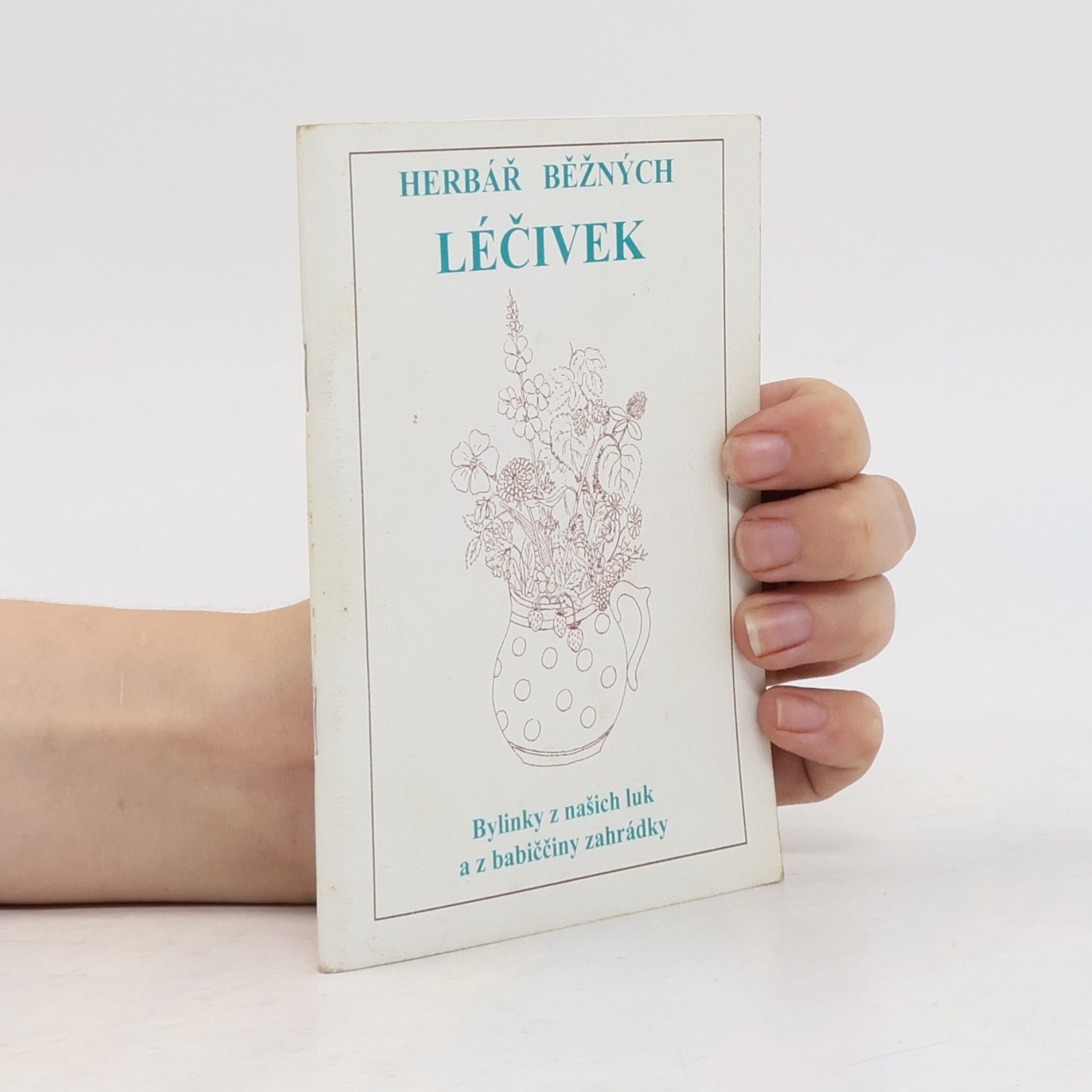 Various authors Herbář běžných léčivek