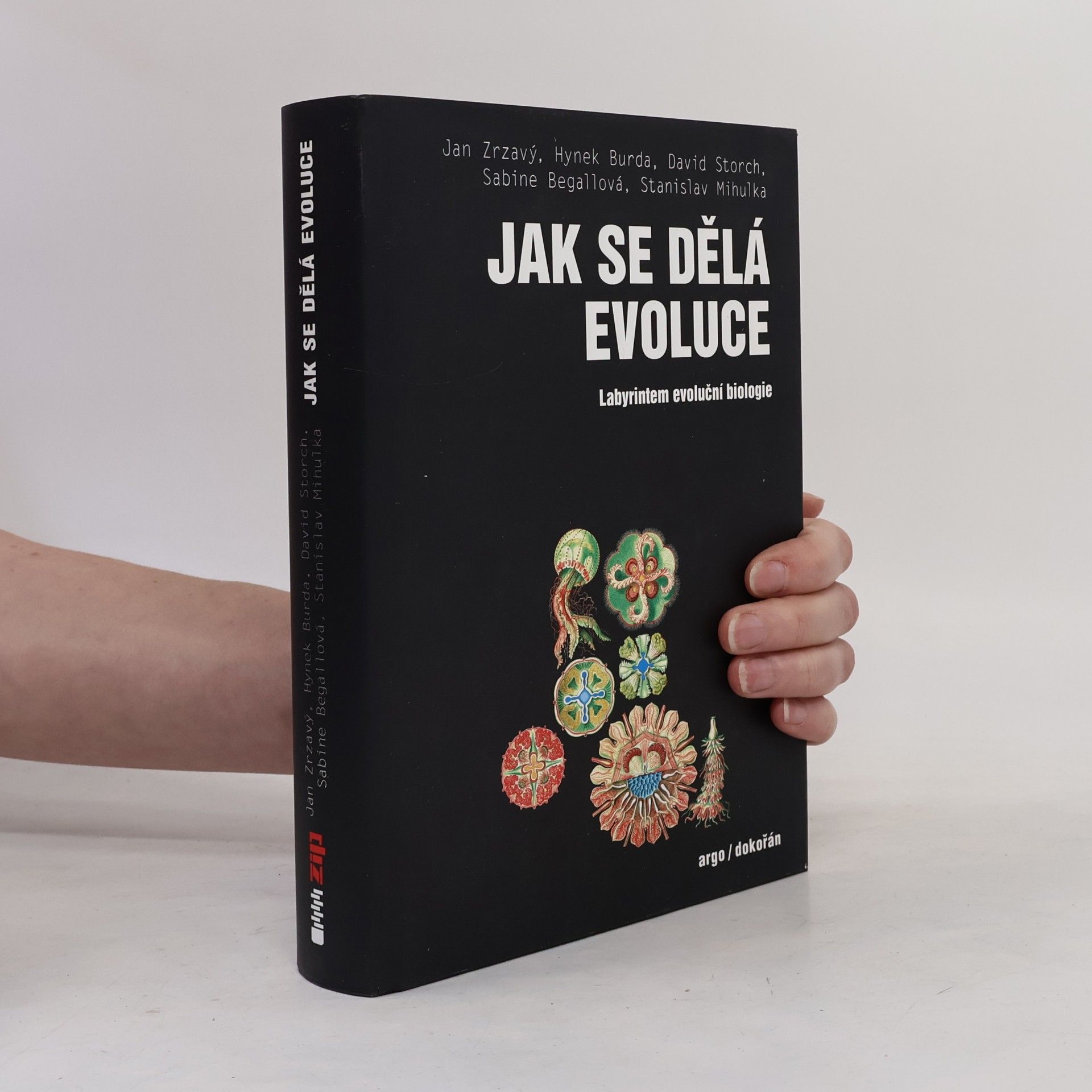 Sabine Begall Jak se dělá evoluce: Labyrintem evoluční biologie