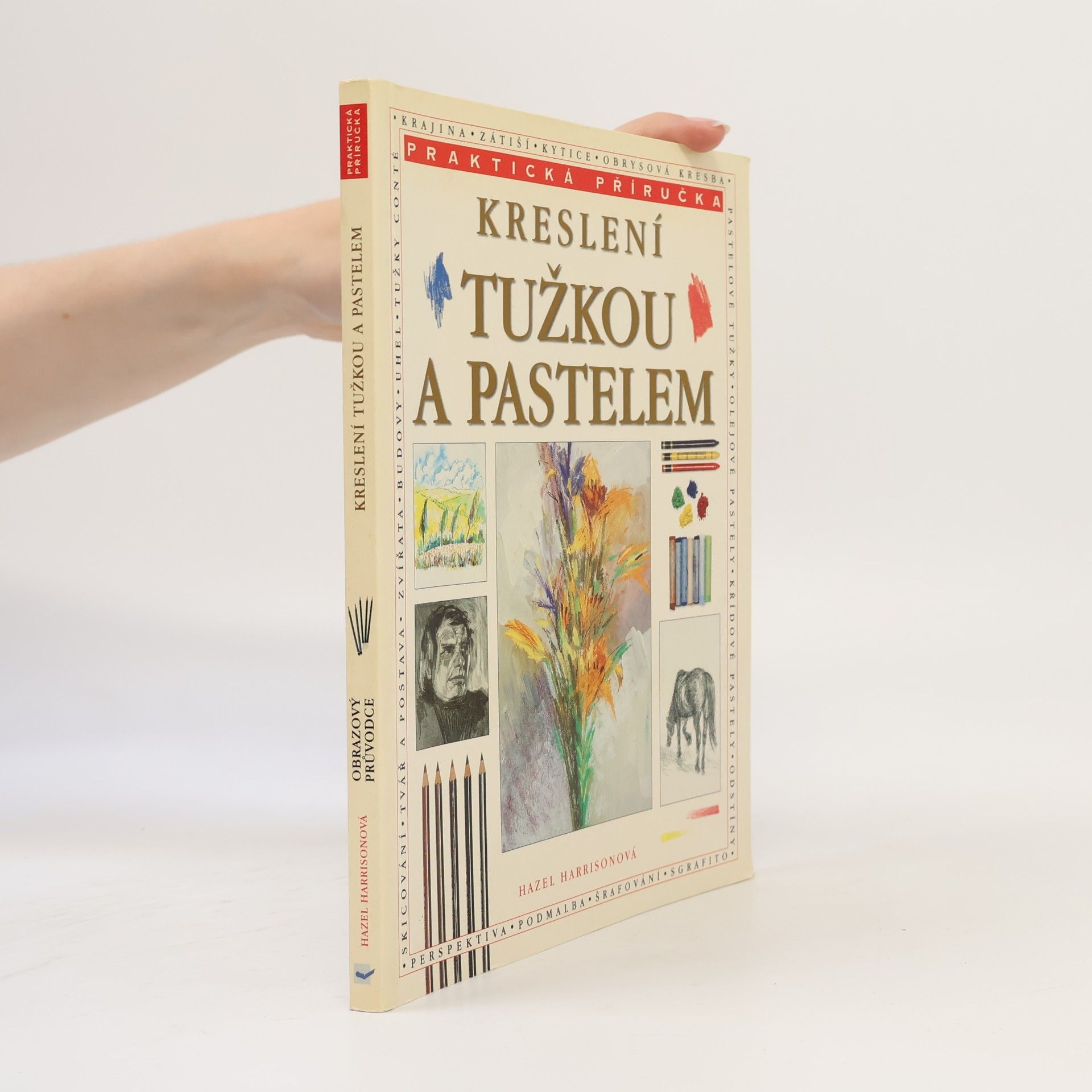 Hazel Harrison Kreslení tužkou a pastelem