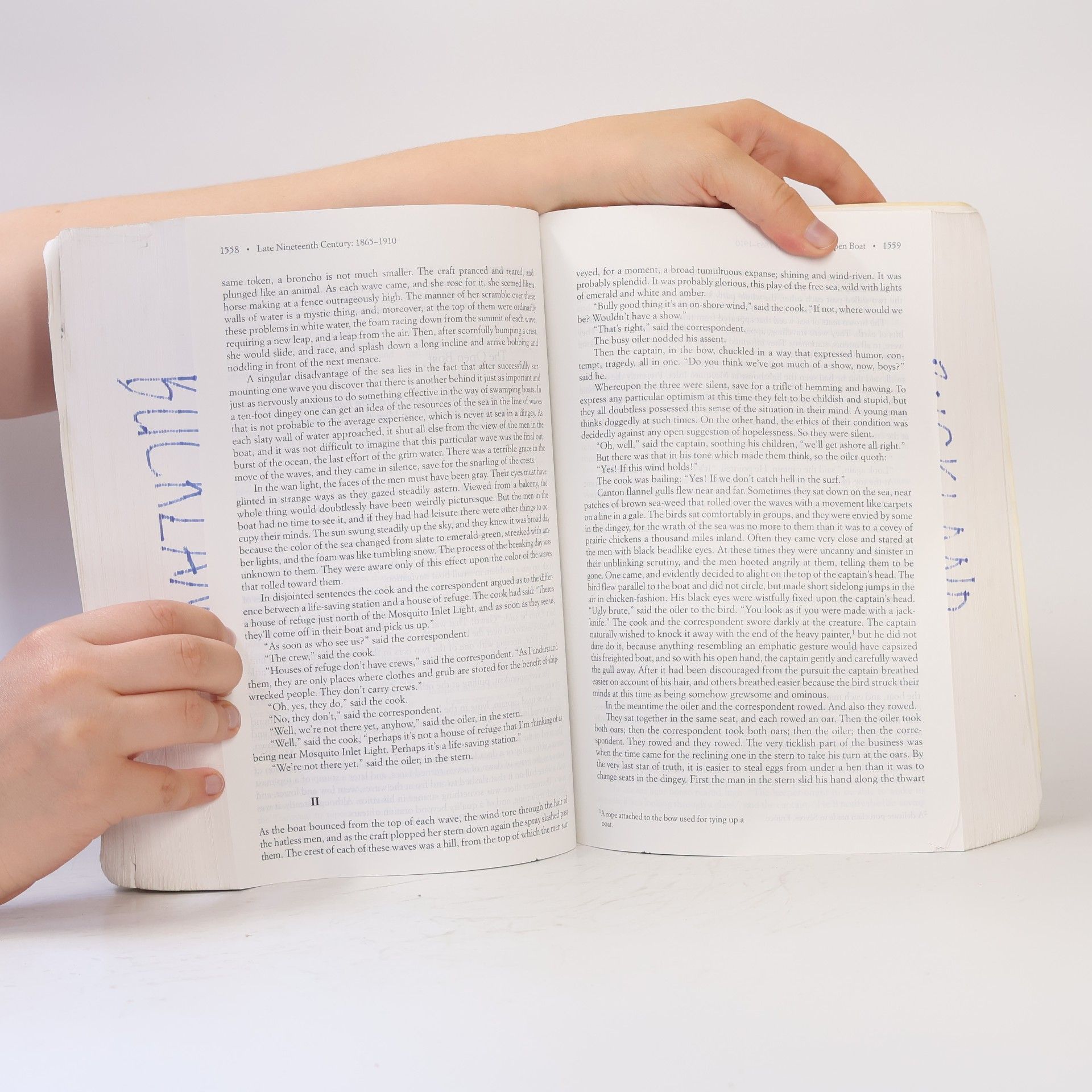 Paul Lauter The Heath Anthology of American Literature