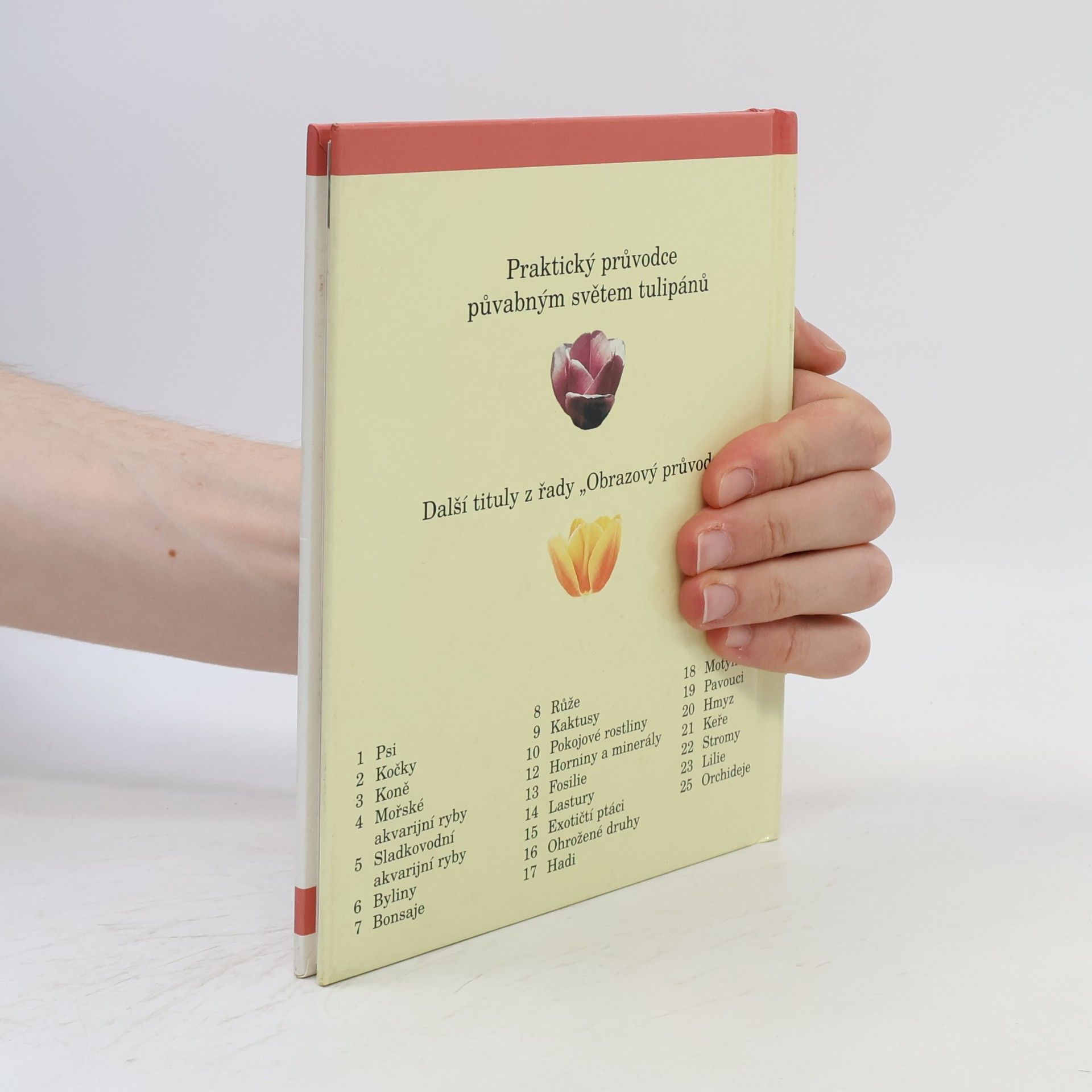 Kolektiv autorů Tulipány