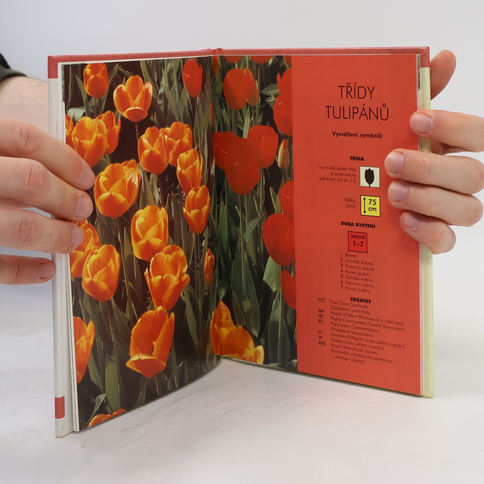 Kolektiv autorů Tulipány