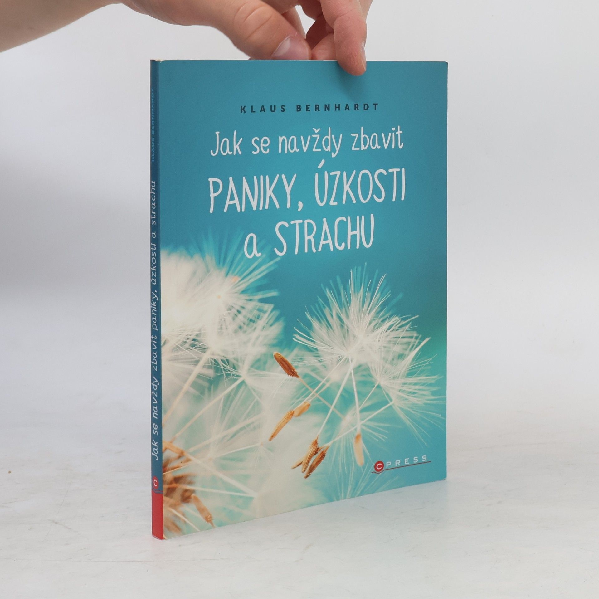 Klaus Bernhardt Jak se navždy zbavit paniky, úzkosti a strachu