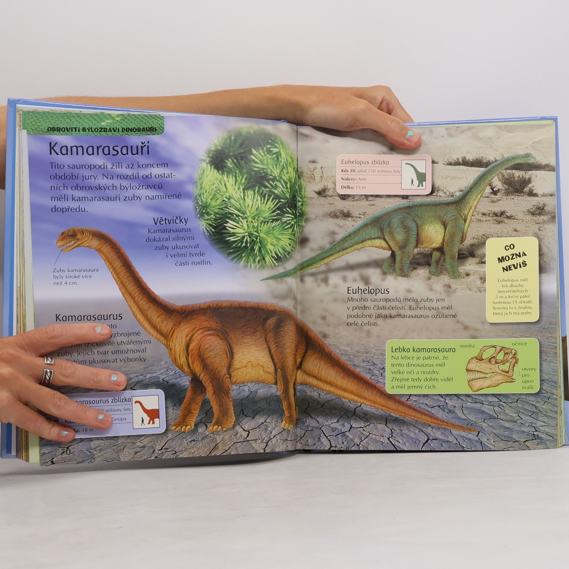John Malam Obrázkový svět dinosaurů