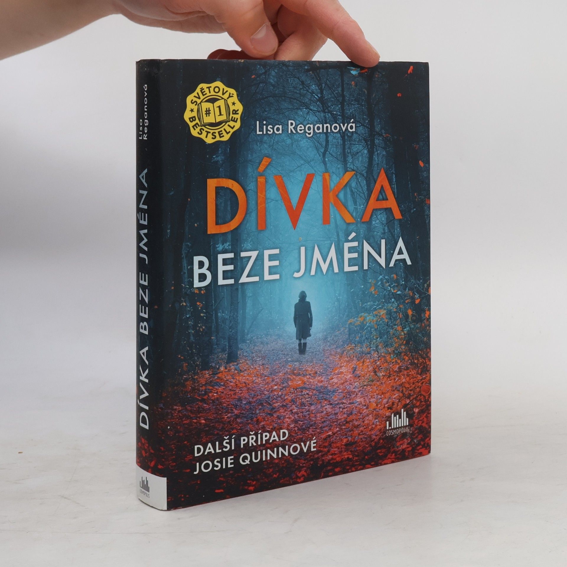 Lisa Regan Dívka beze jména: Další případ Josie Quinnové
