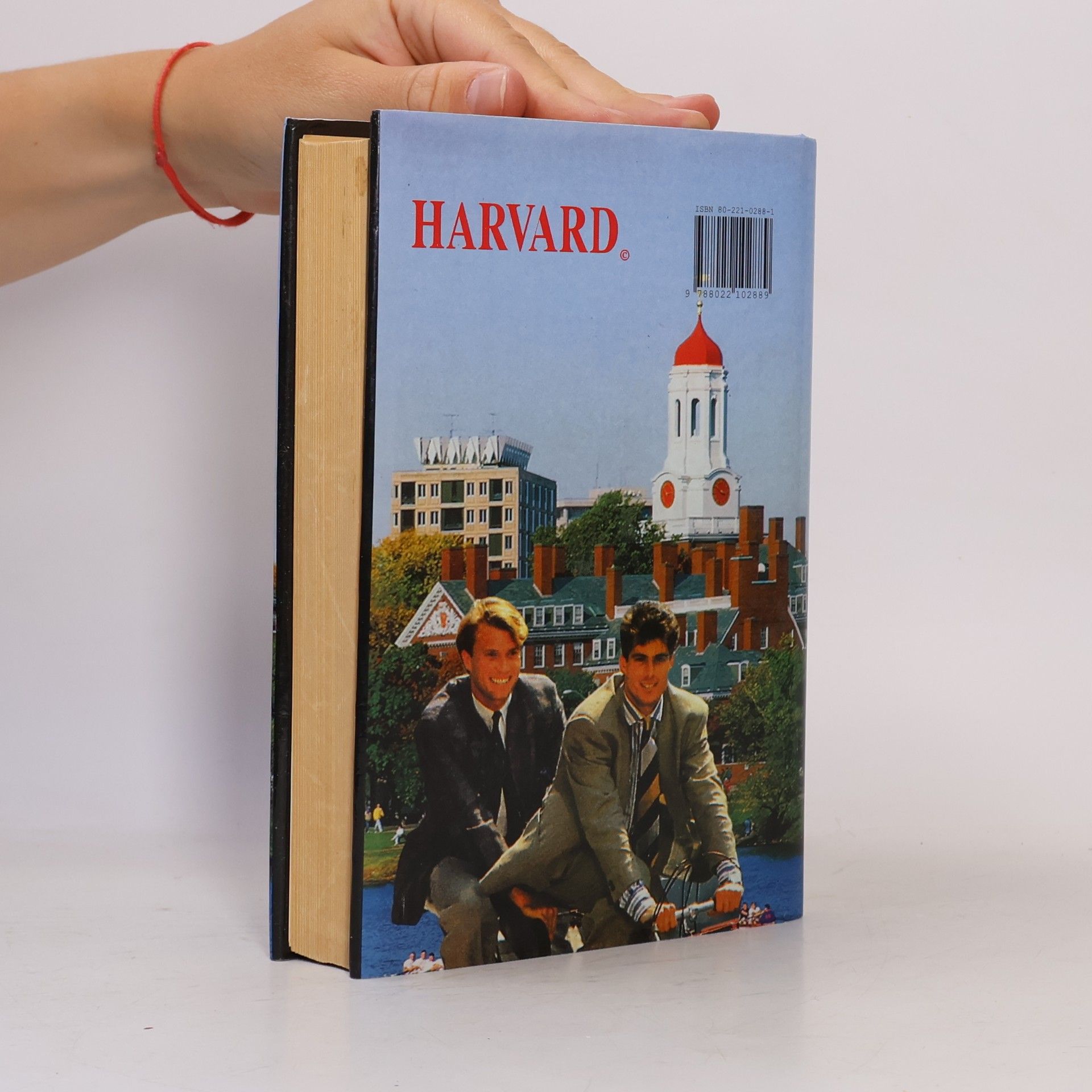 Erich Segal Chlapci z Harvardu