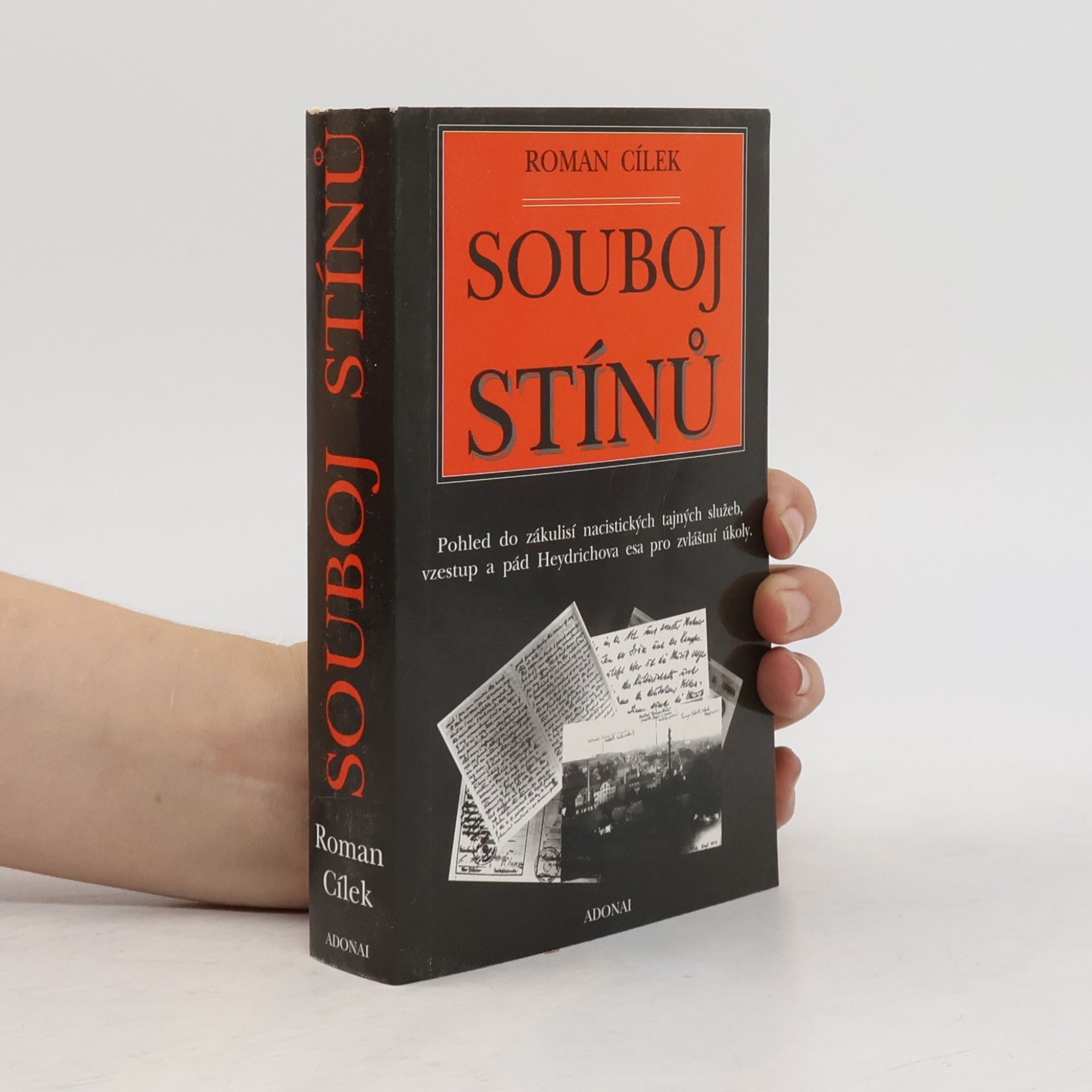 Souboj stínů