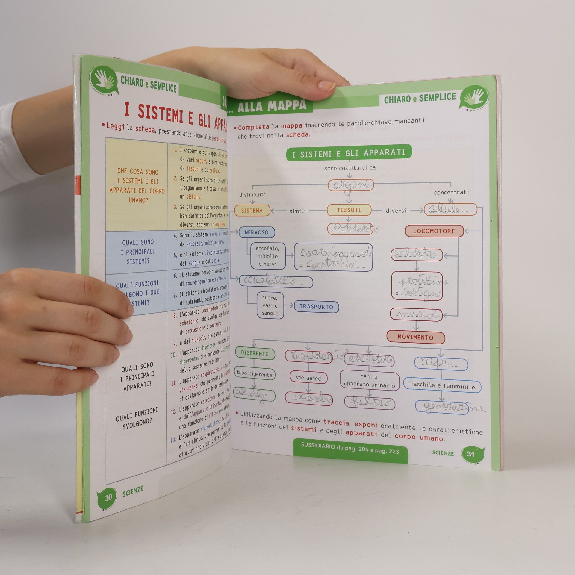 Gianfranco Bresich Gioco tra i saperi in tempo reale. Colibrì. Matematica e scienze. Per la 5ª classe elementare. Con e-book. Con espansione online