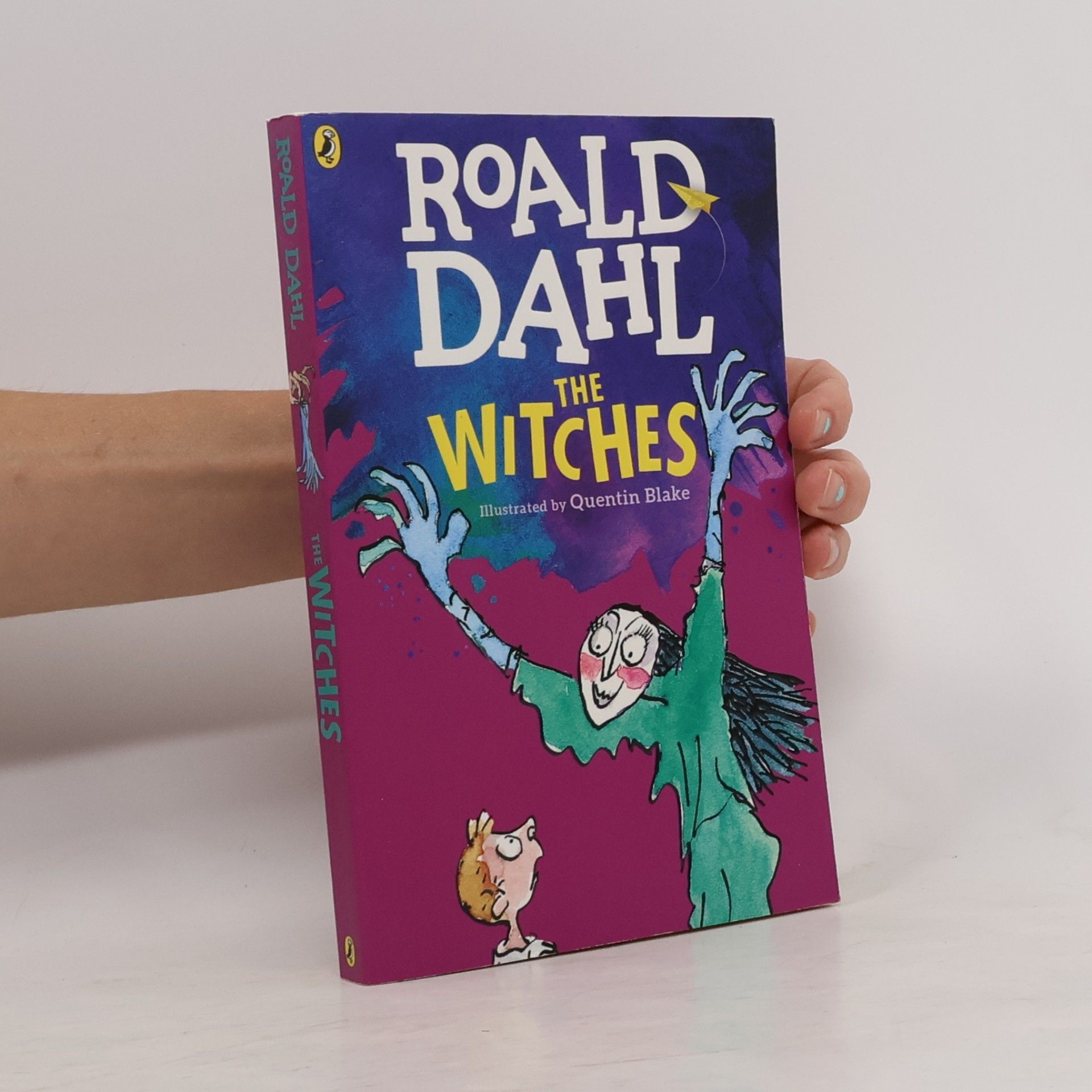 Roald Dahl The Witches