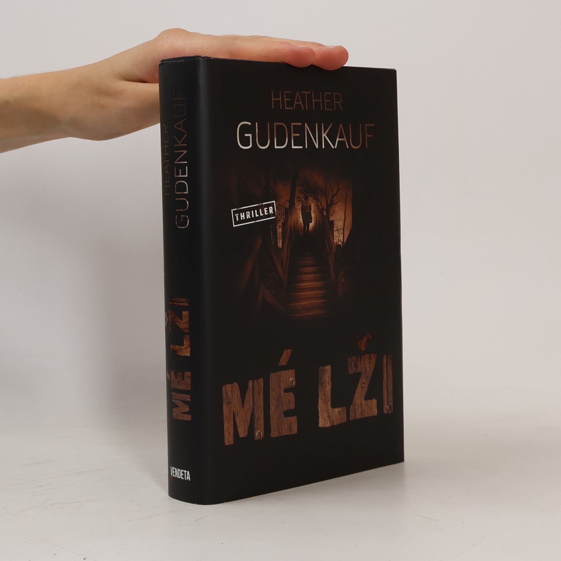 Heather Gudenkauf Mé lži