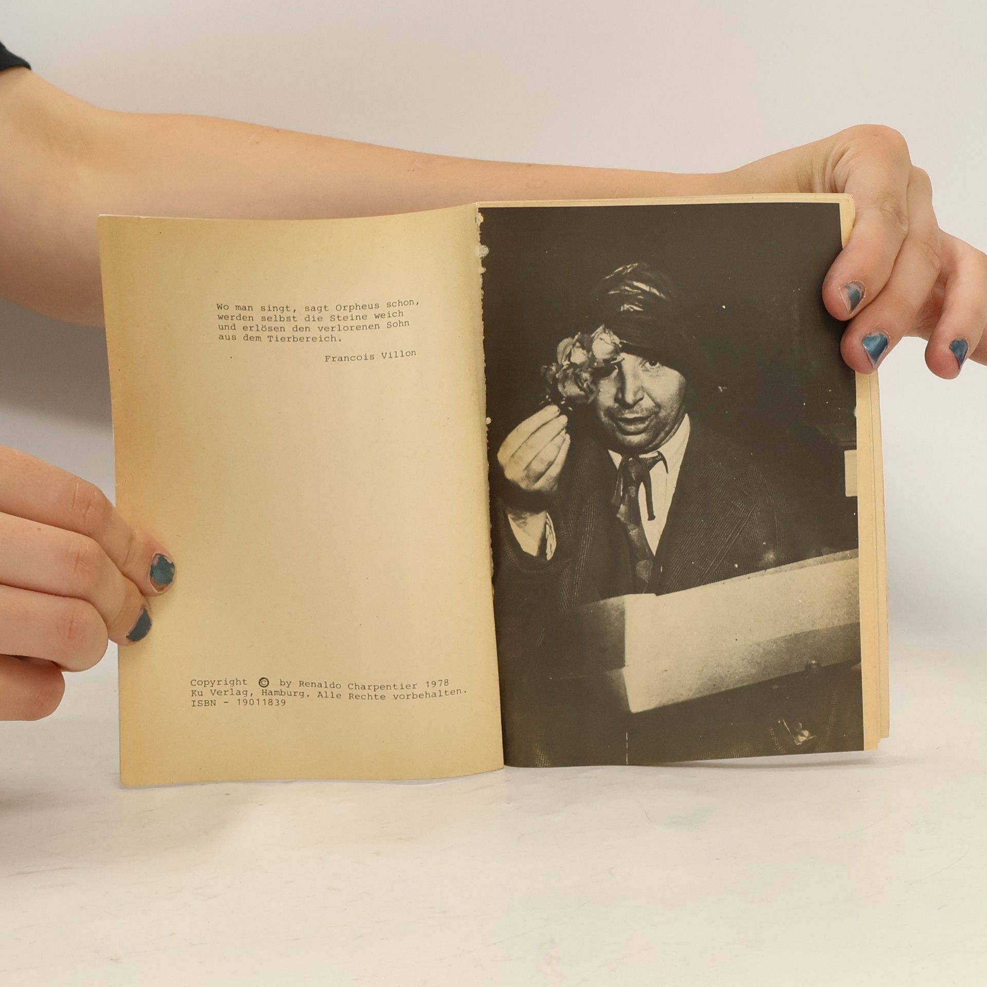 kolektiv Bob Dylan. Drei Interviews 1977/1978
