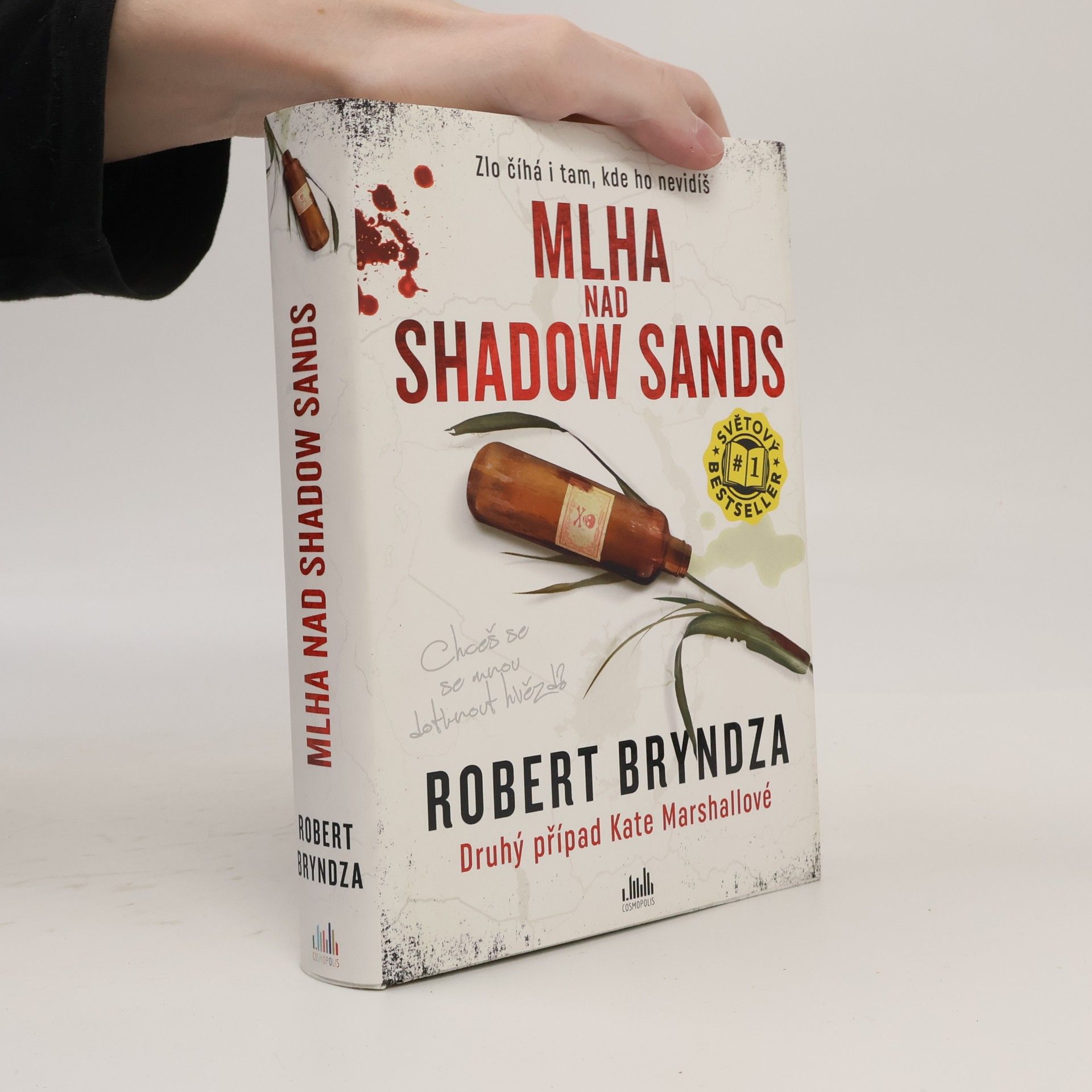 Robert Bryndza Mlha nad Shadow Sands