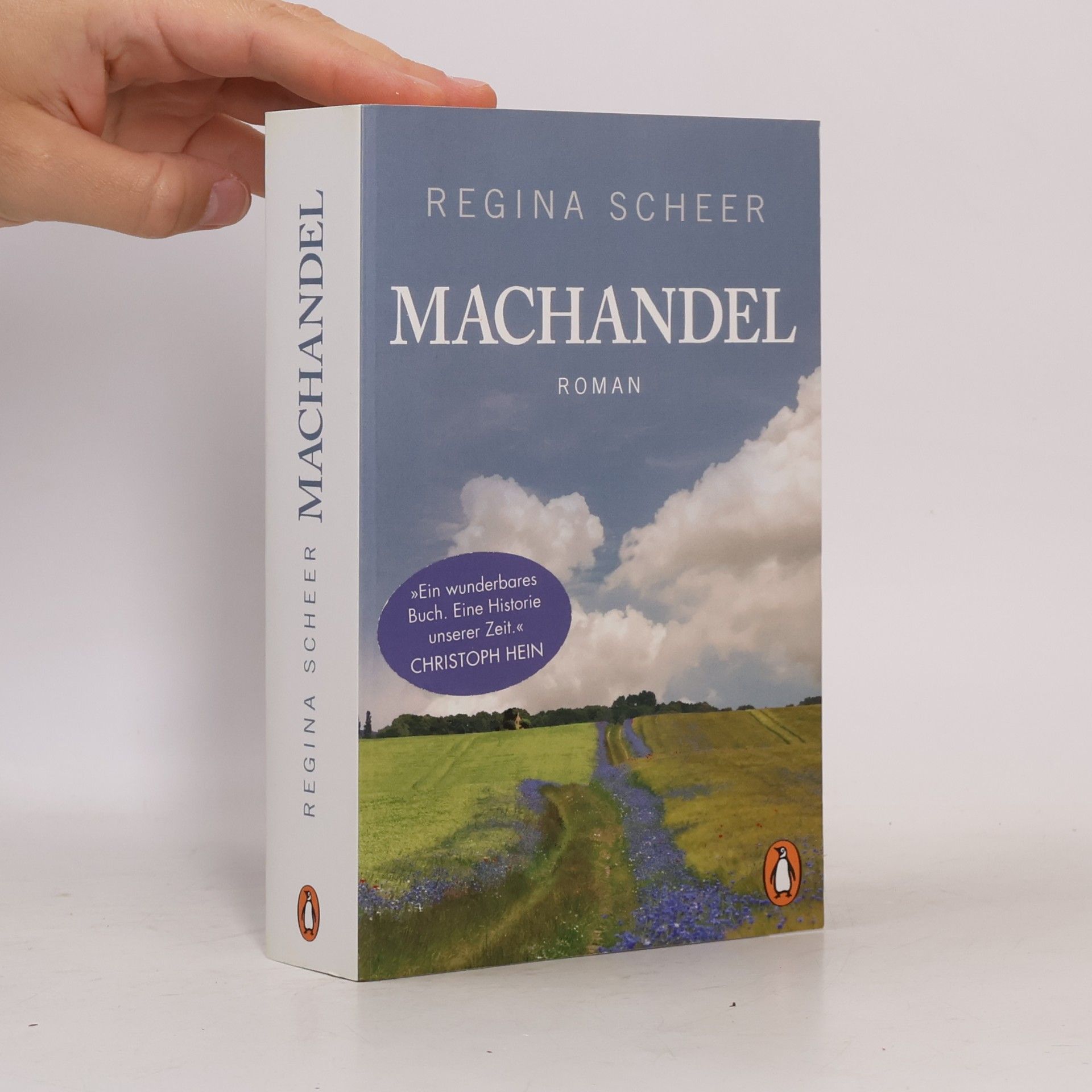 Regina Scheer Machandel
