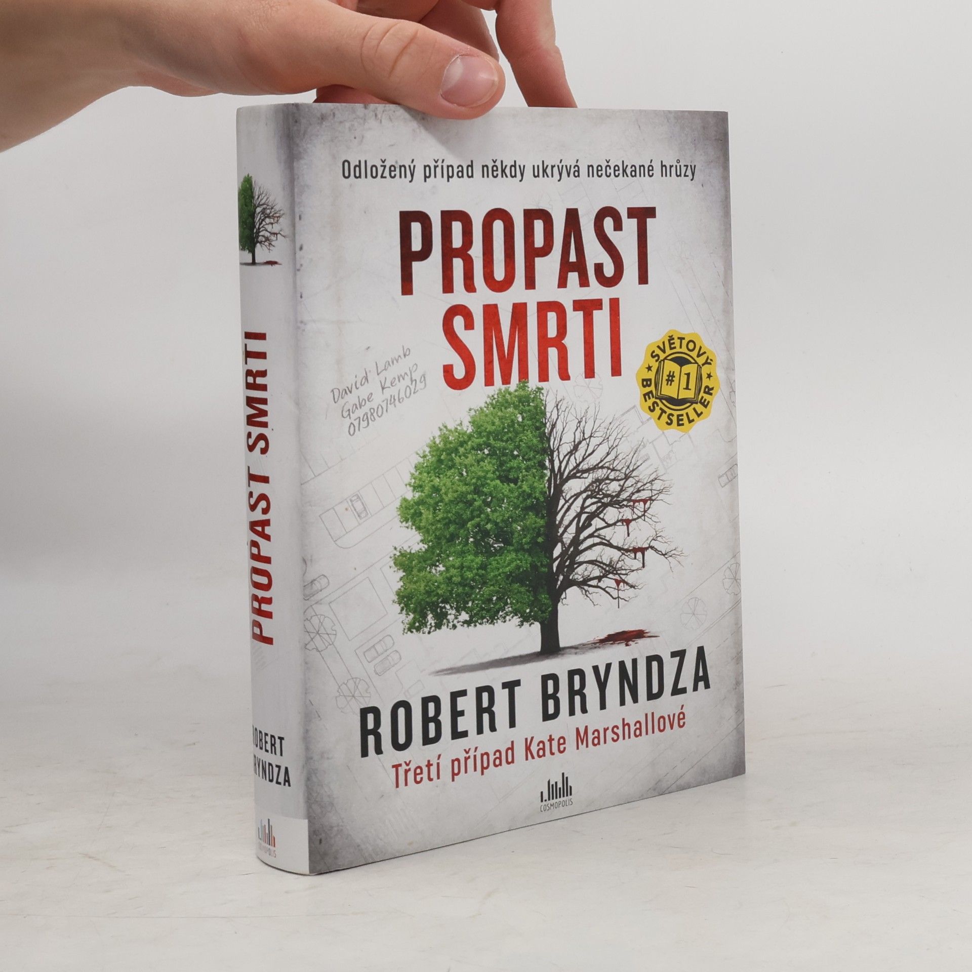Robert Bryndza Propast smrti