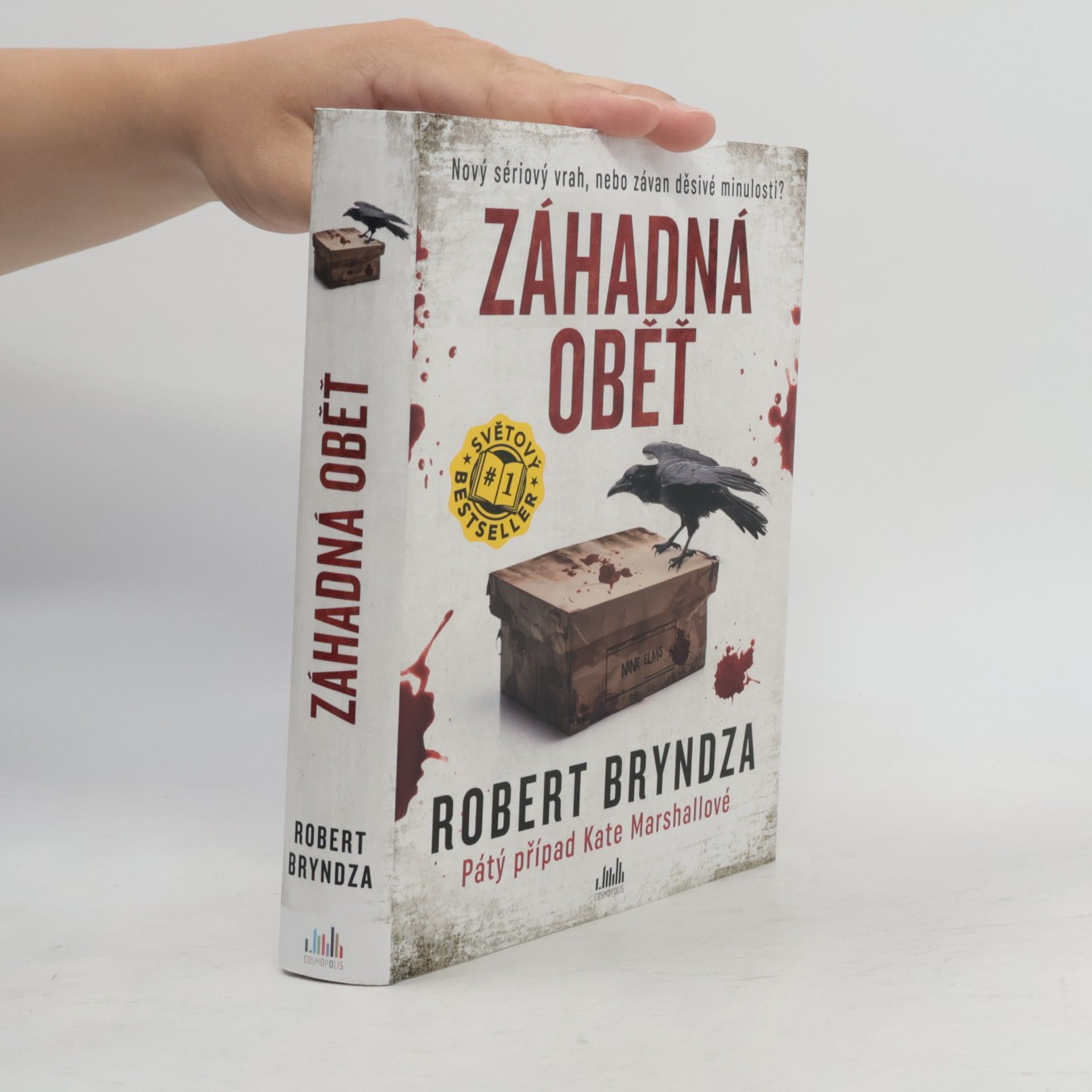 Robert Bryndza Záhadná oběť