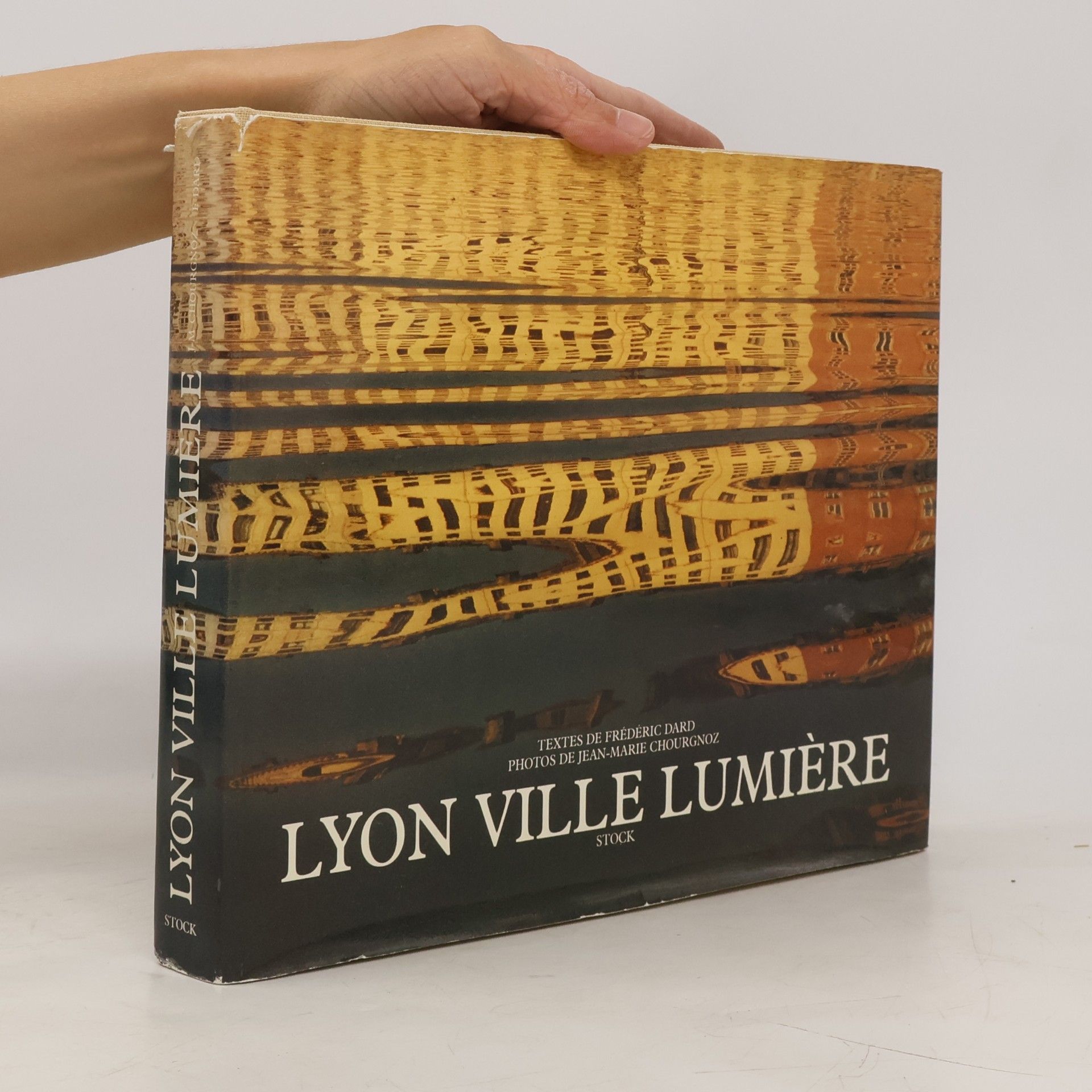 Jean-Marie Chourgnoz Lyon Ville Lumière
