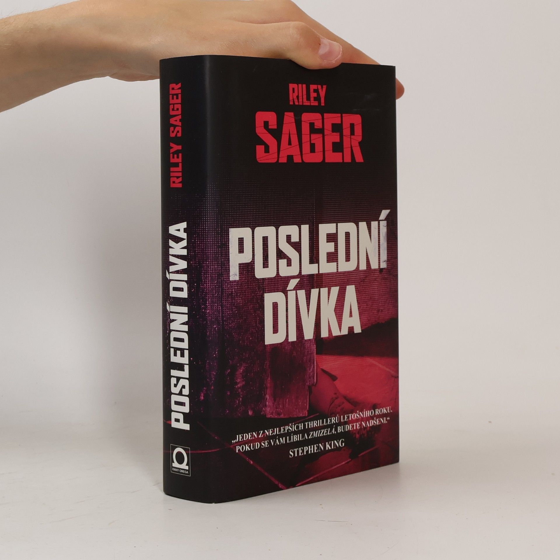 Todd Ritter Poslední dívka