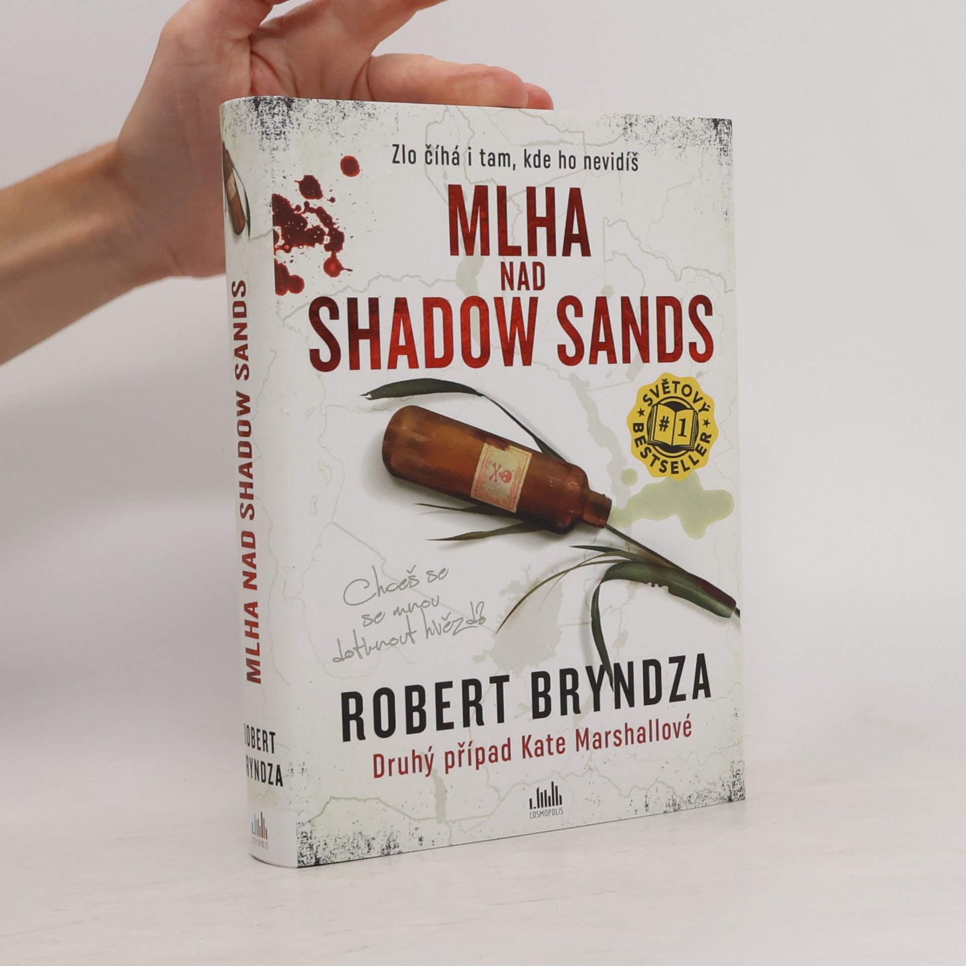 Robert Bryndza Mlha nad Shadow Sands