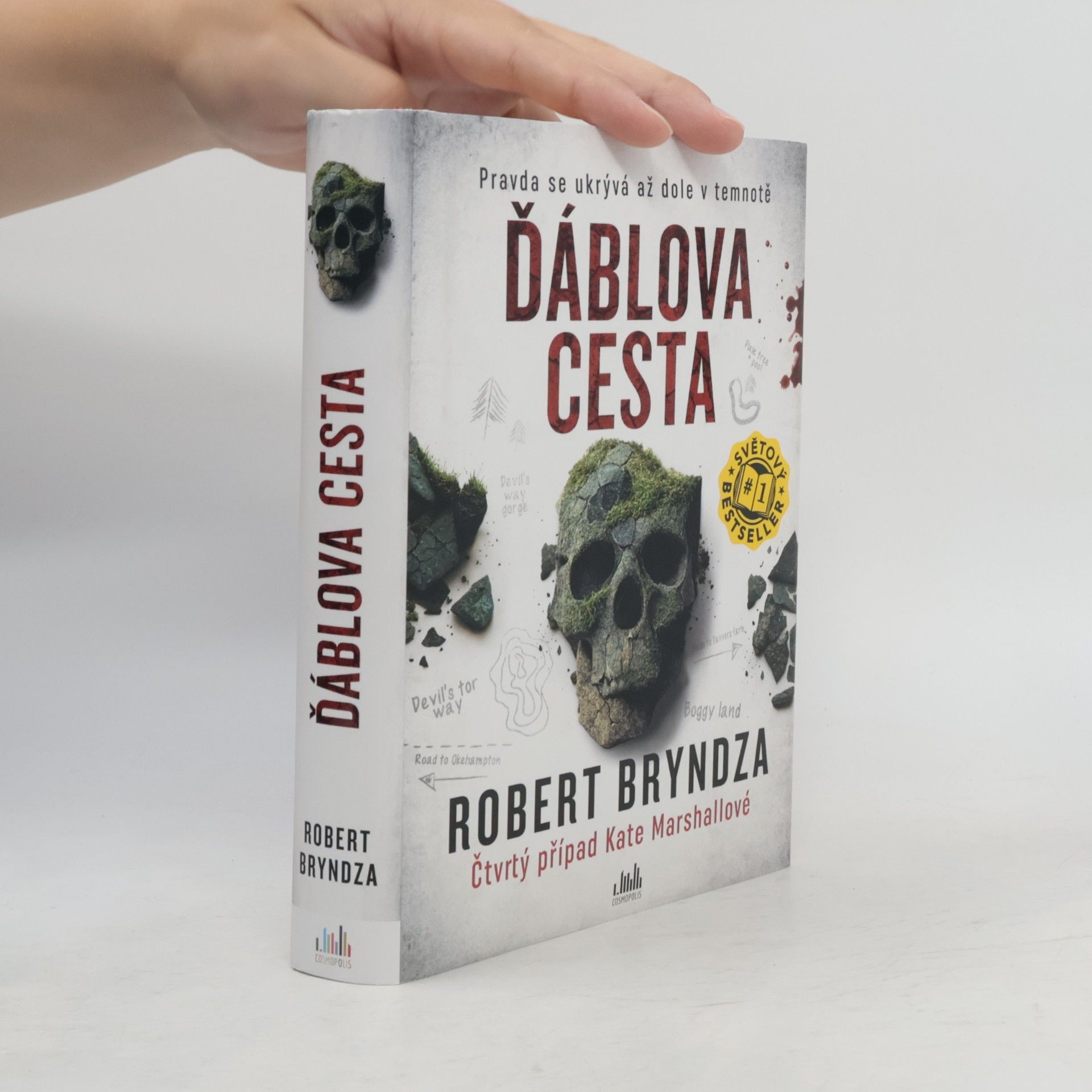 Robert Bryndza Ďáblova cesta