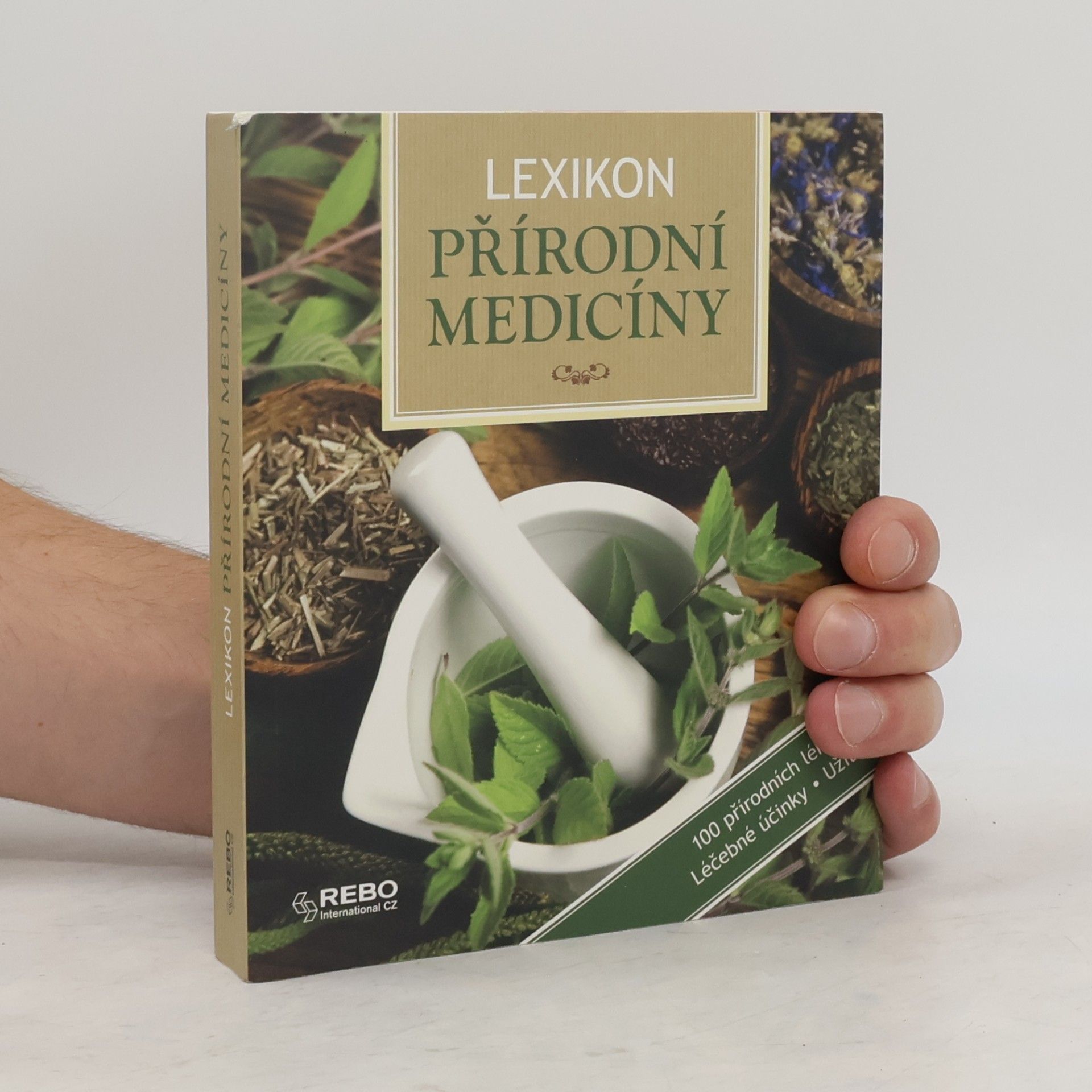 Anne Iburg Lexikon přírodní medicíny