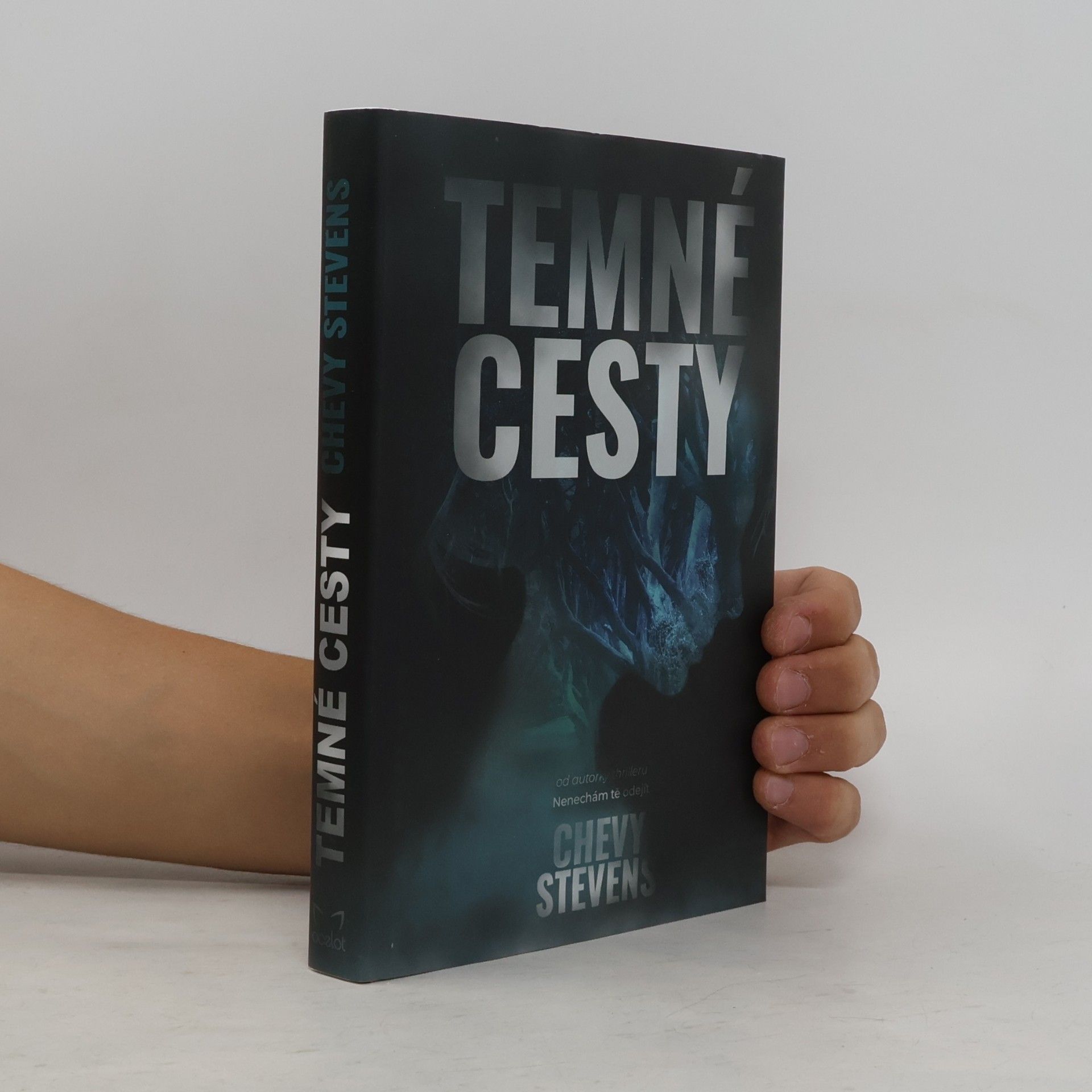 Chevy Stevens Temné cesty