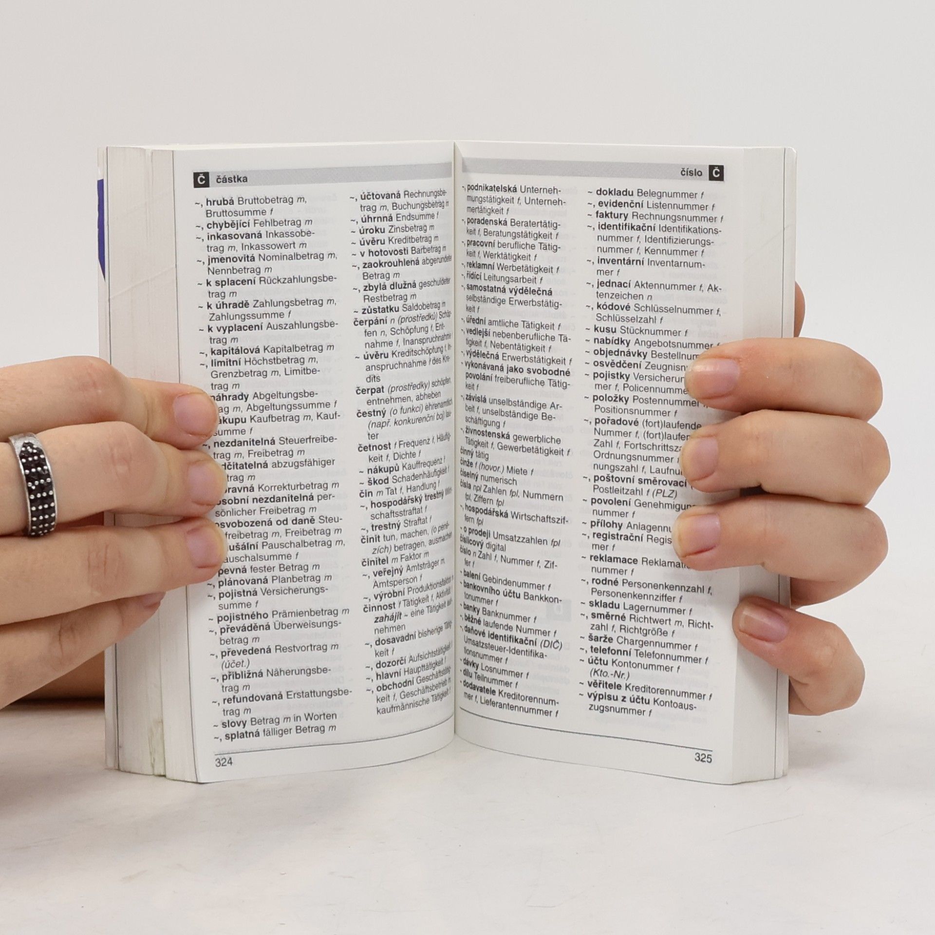 Pavel Vlach Handy slovník ekonomický německo-český, česko-německý : Handy-Wörterbuch Wirtschaft Deutsch-Tschechisch, Tschechisch-Deutsch