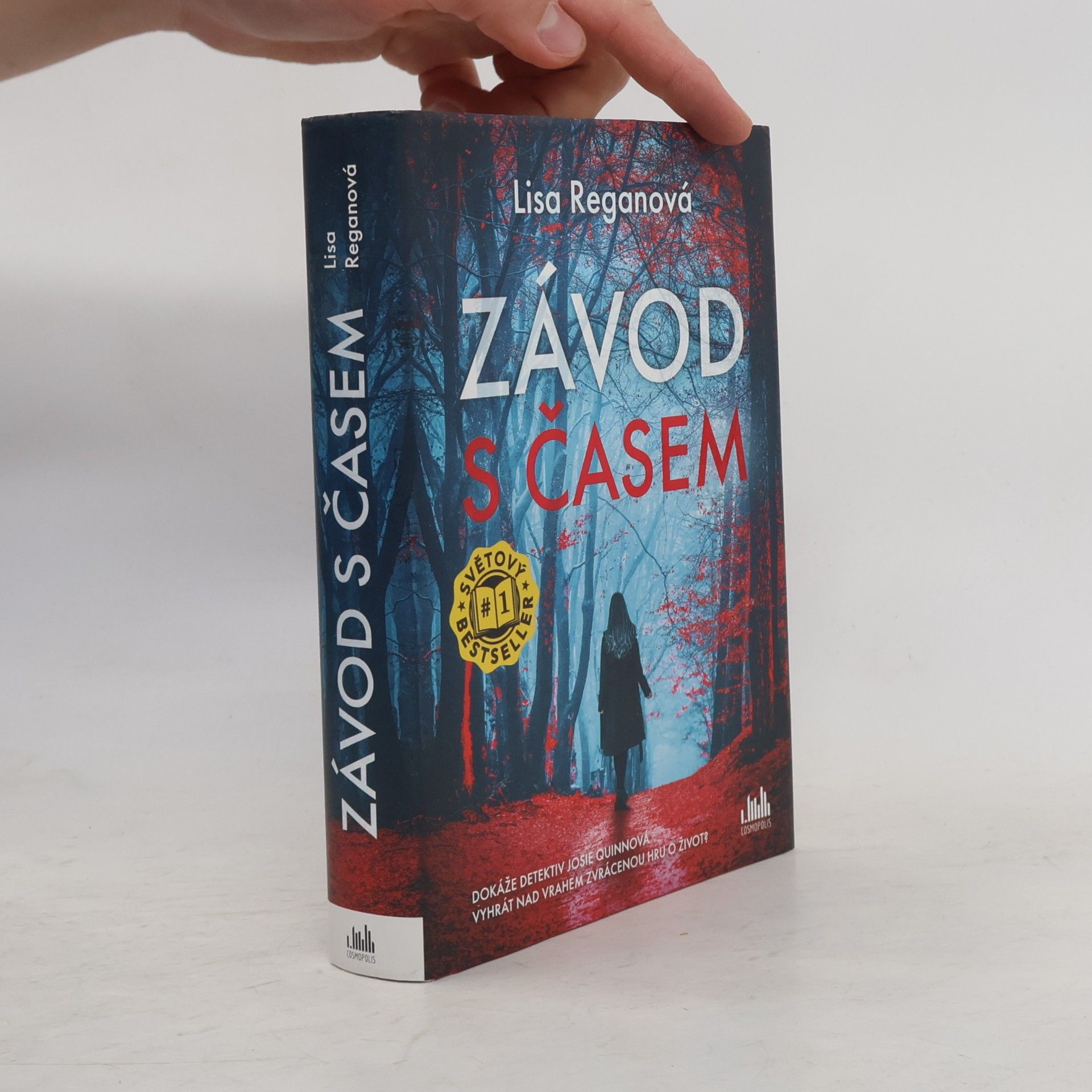 Lisa Regan Závod s časem