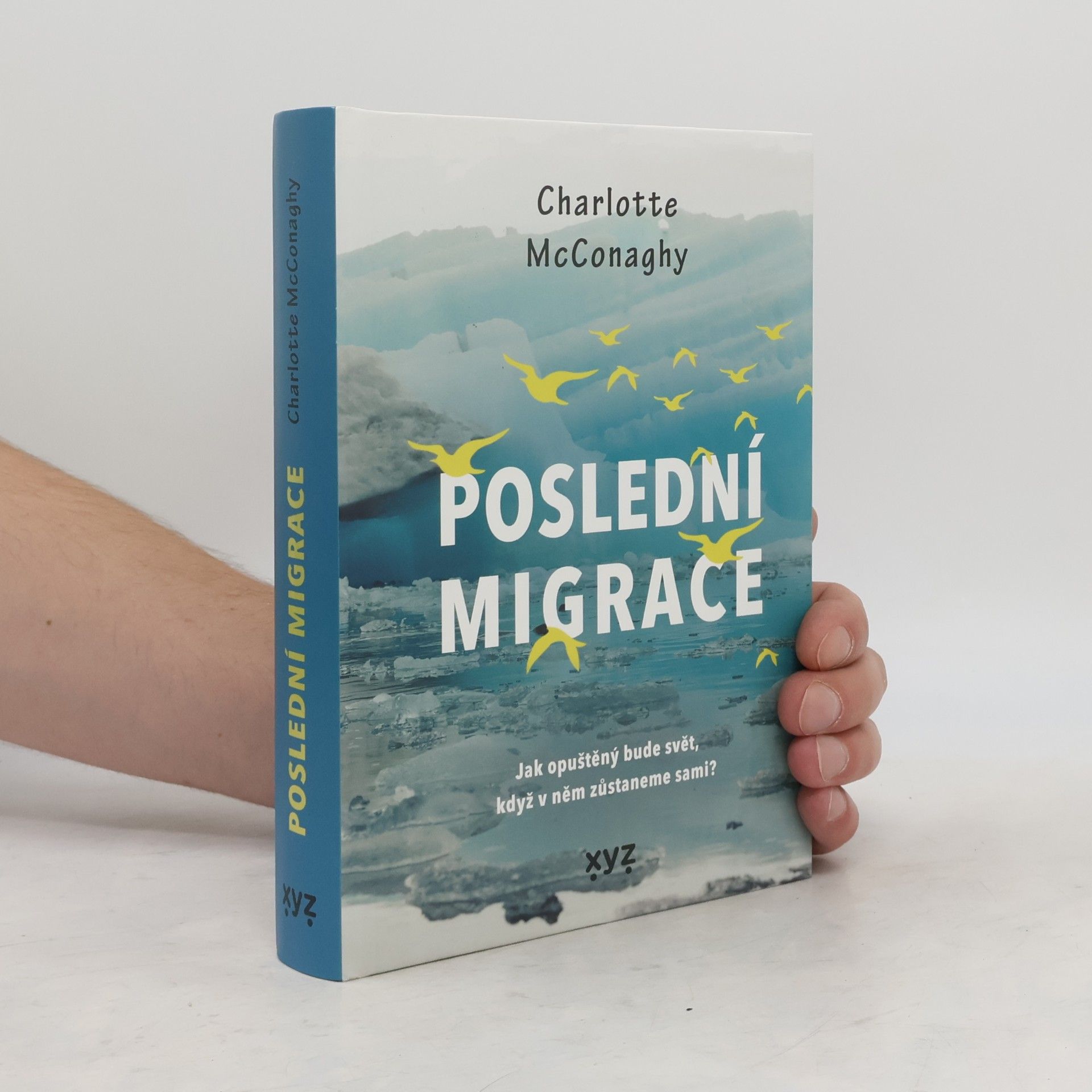CHARLOTTE. MCCONAGHY Poslední migrace
