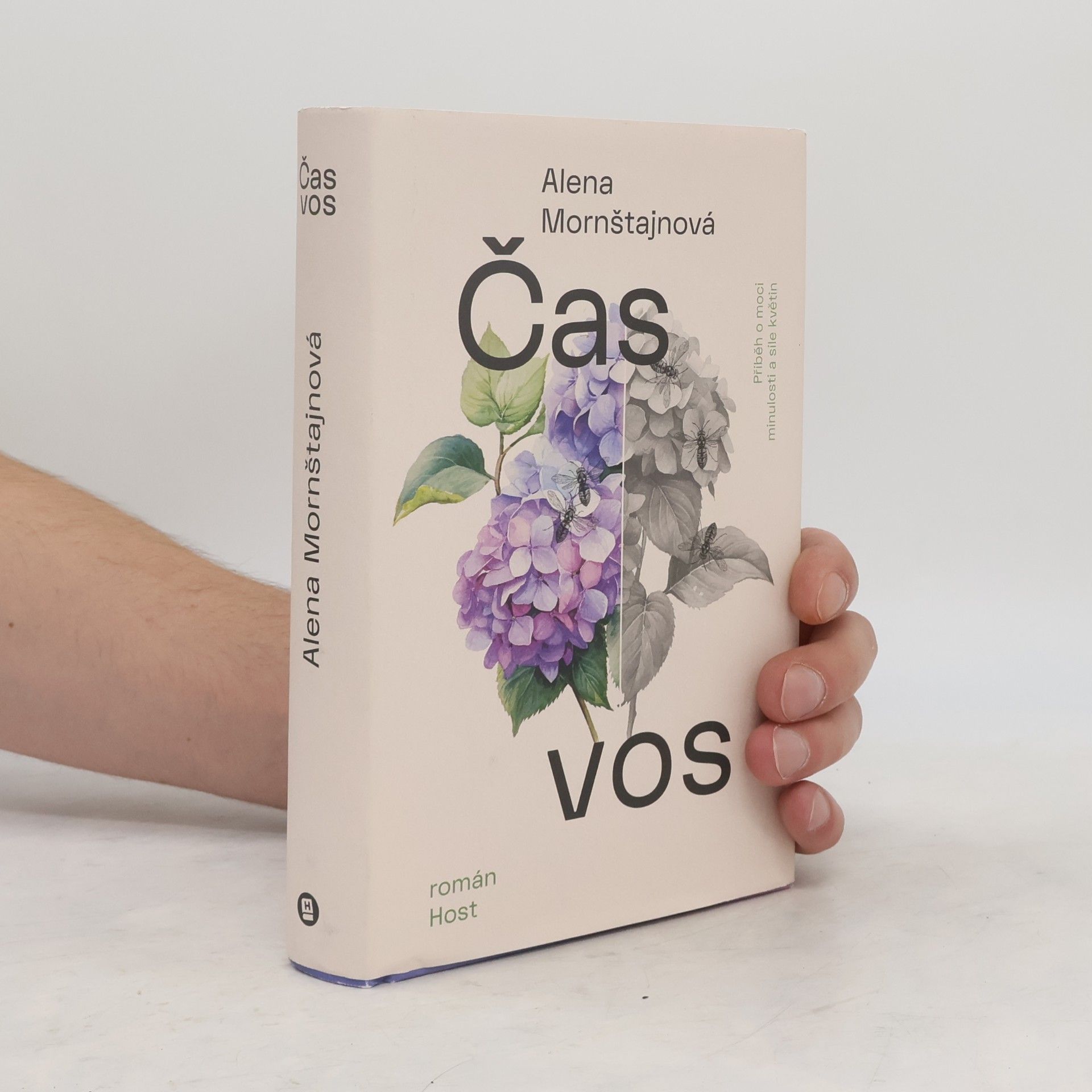 Alena Mornštajnová Čas vos