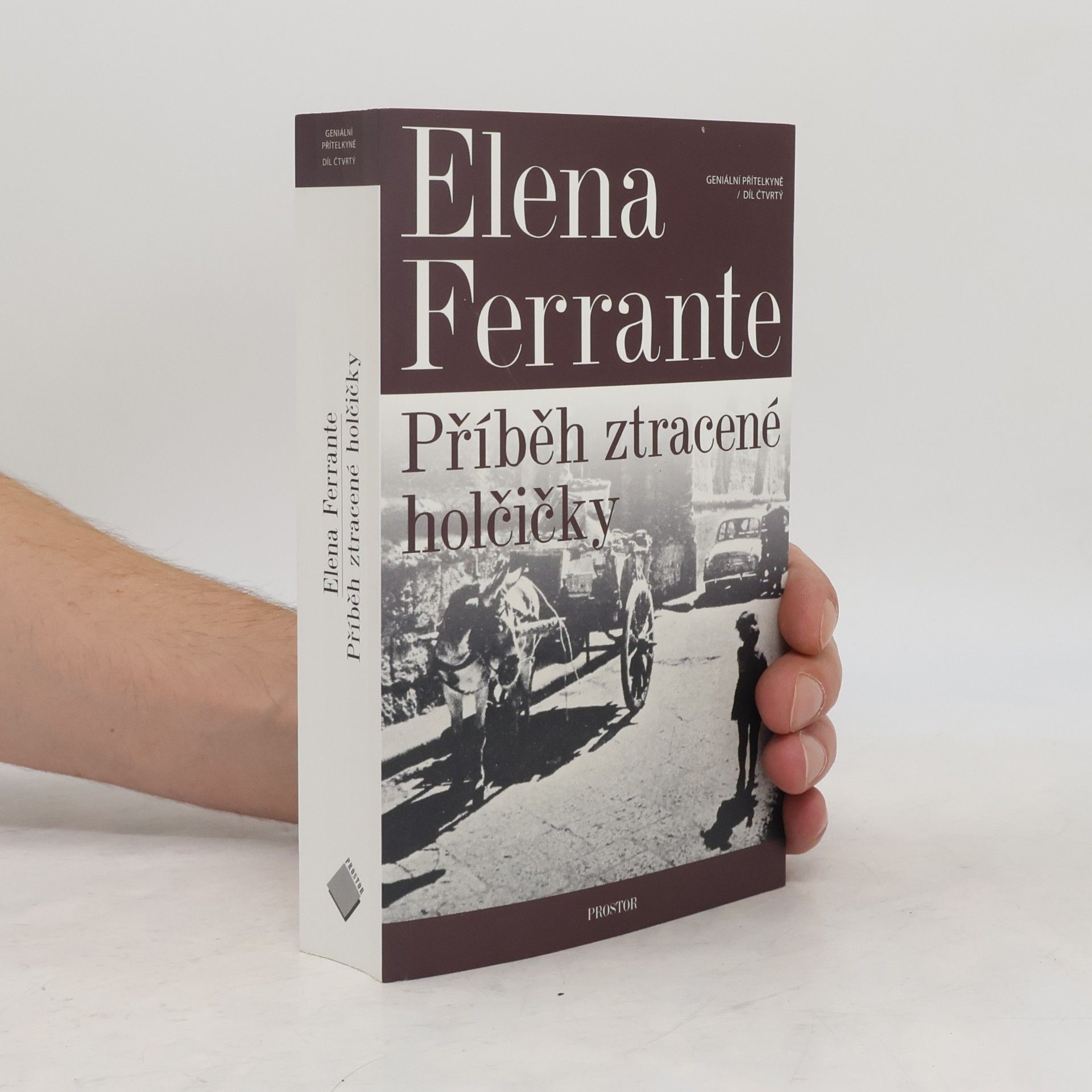 Elena Ferrante Příběh ztracené holčičky. Geniální přítelkyně. 4. díl