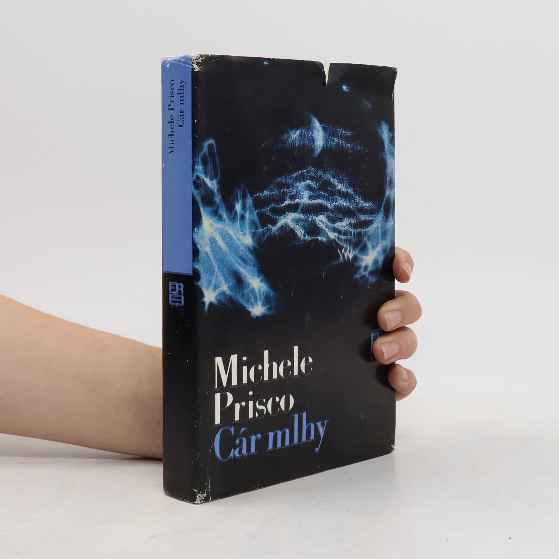 Michele Prisco Cár mlhy