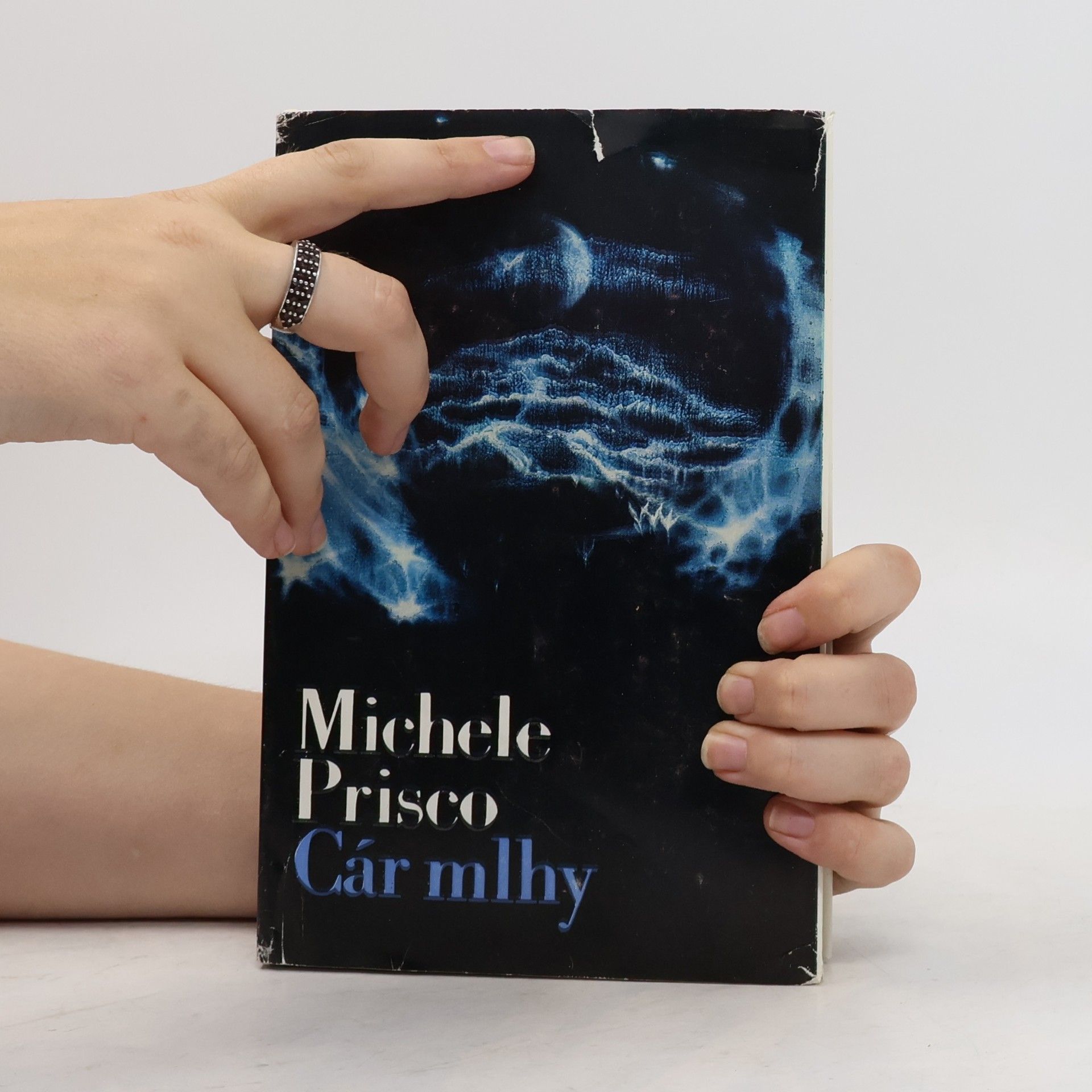 Michele Prisco Cár mlhy