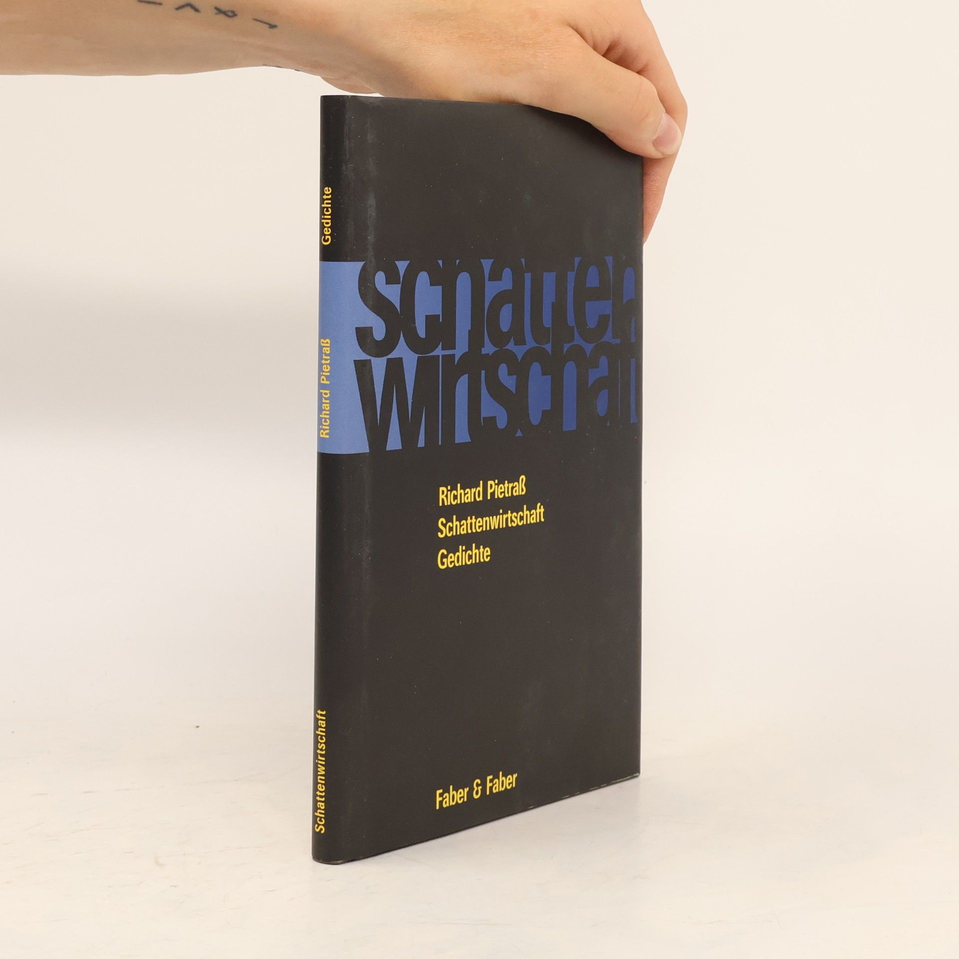 Richard Pietrass Schattenwirtschaft