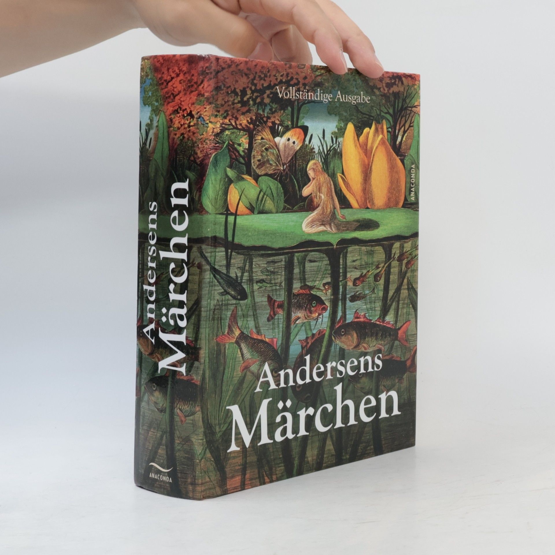 Hans Christian Andersen Andersens Märchen