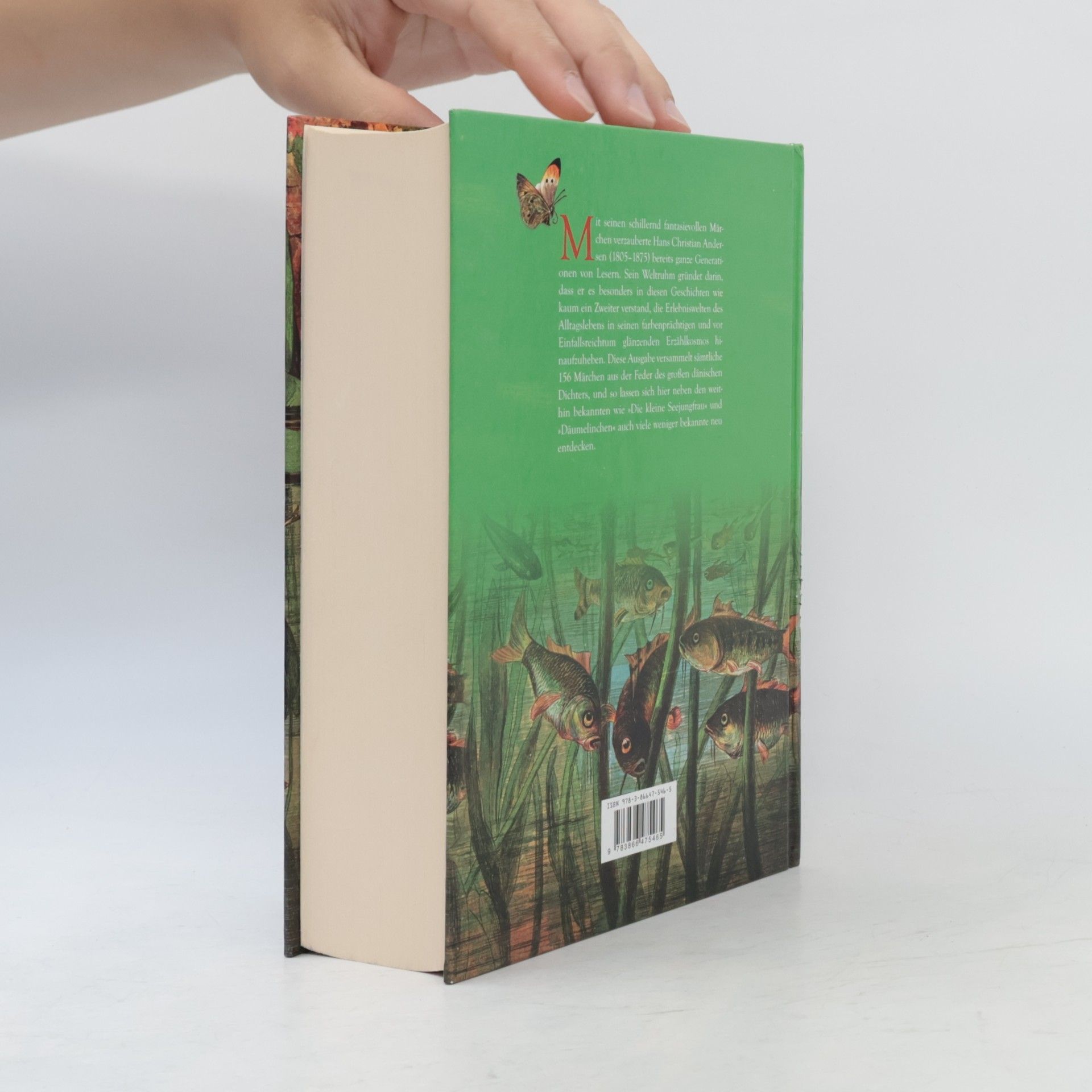 Hans Christian Andersen Andersens Märchen