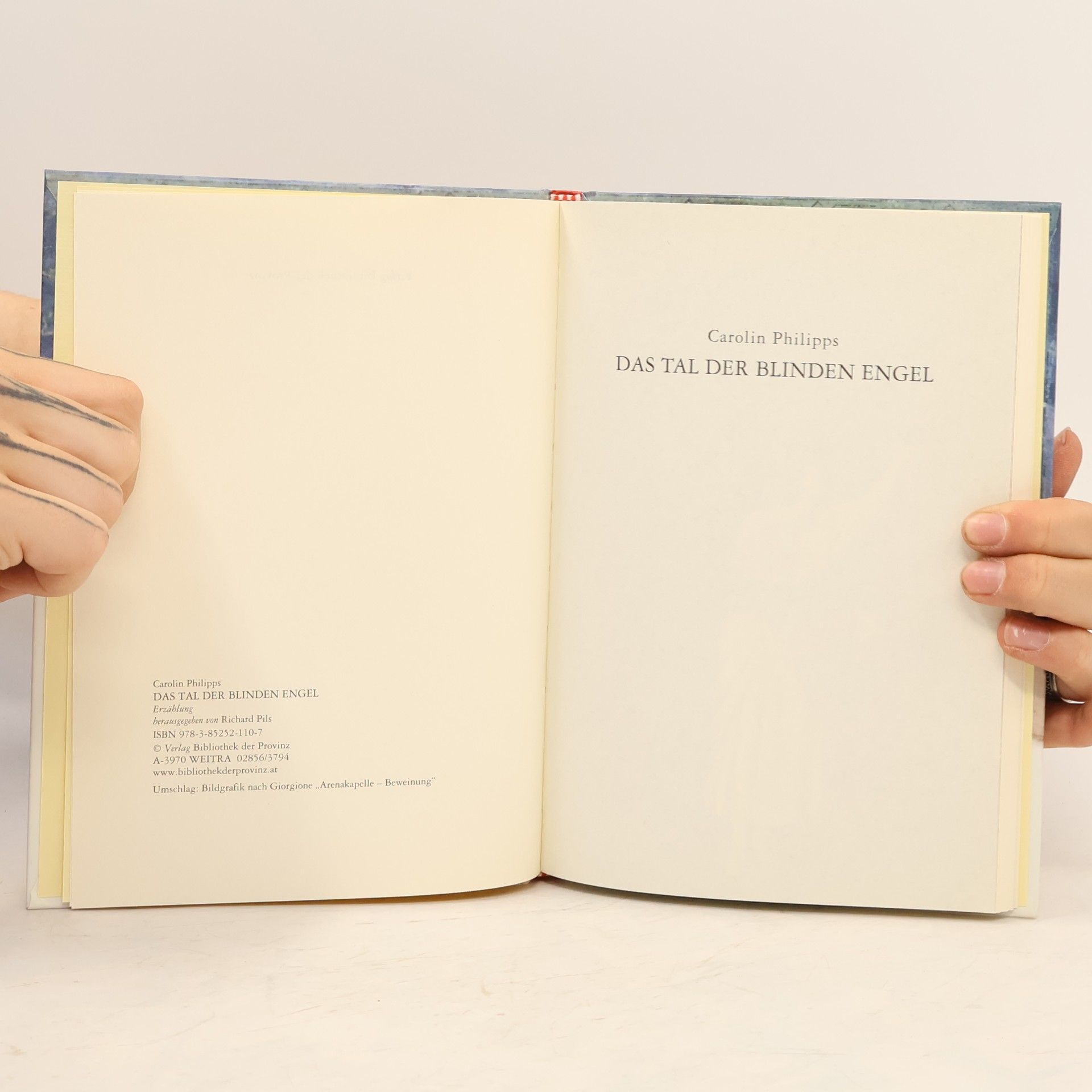 Carolin Philipps Das Tal der blinden Engel