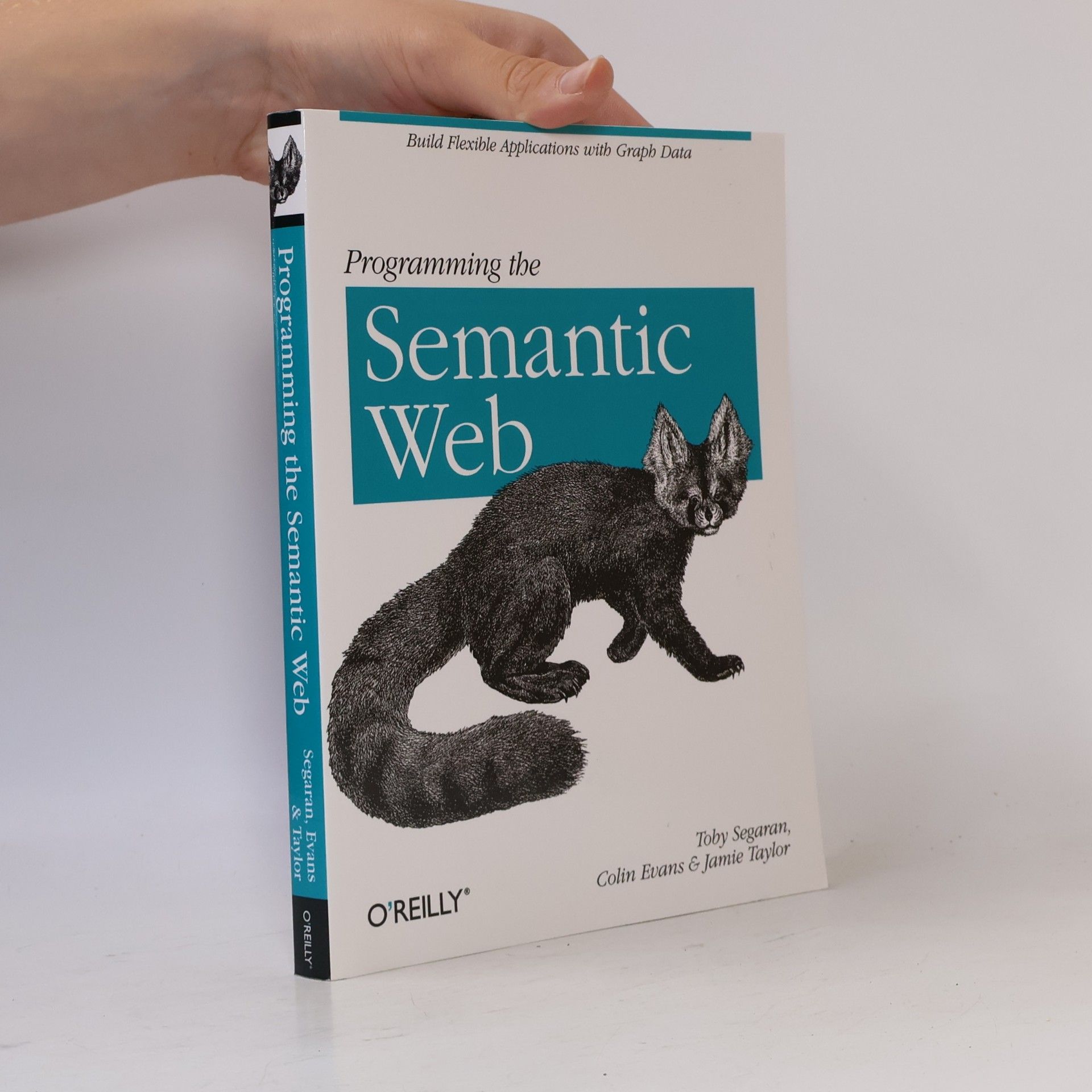 Jamie Taylor Programming the Semantic Web
