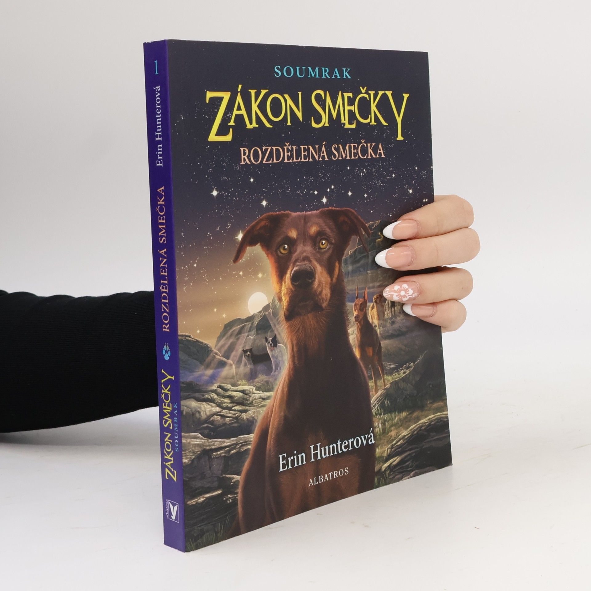 Erin Hunter Rozdělená smečka