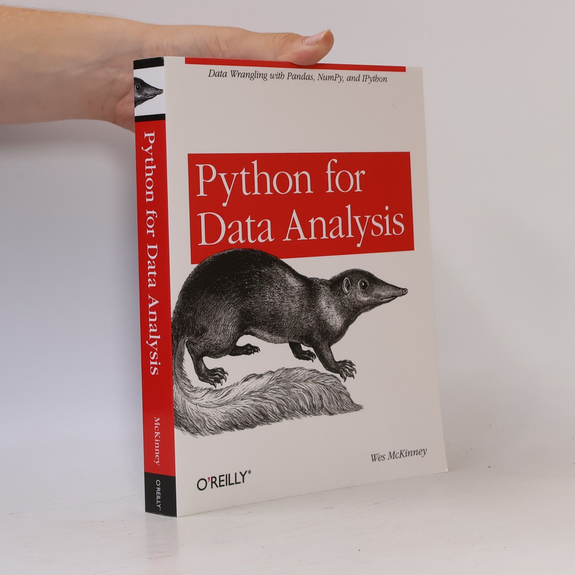 Wes McKinney Python for data analysis