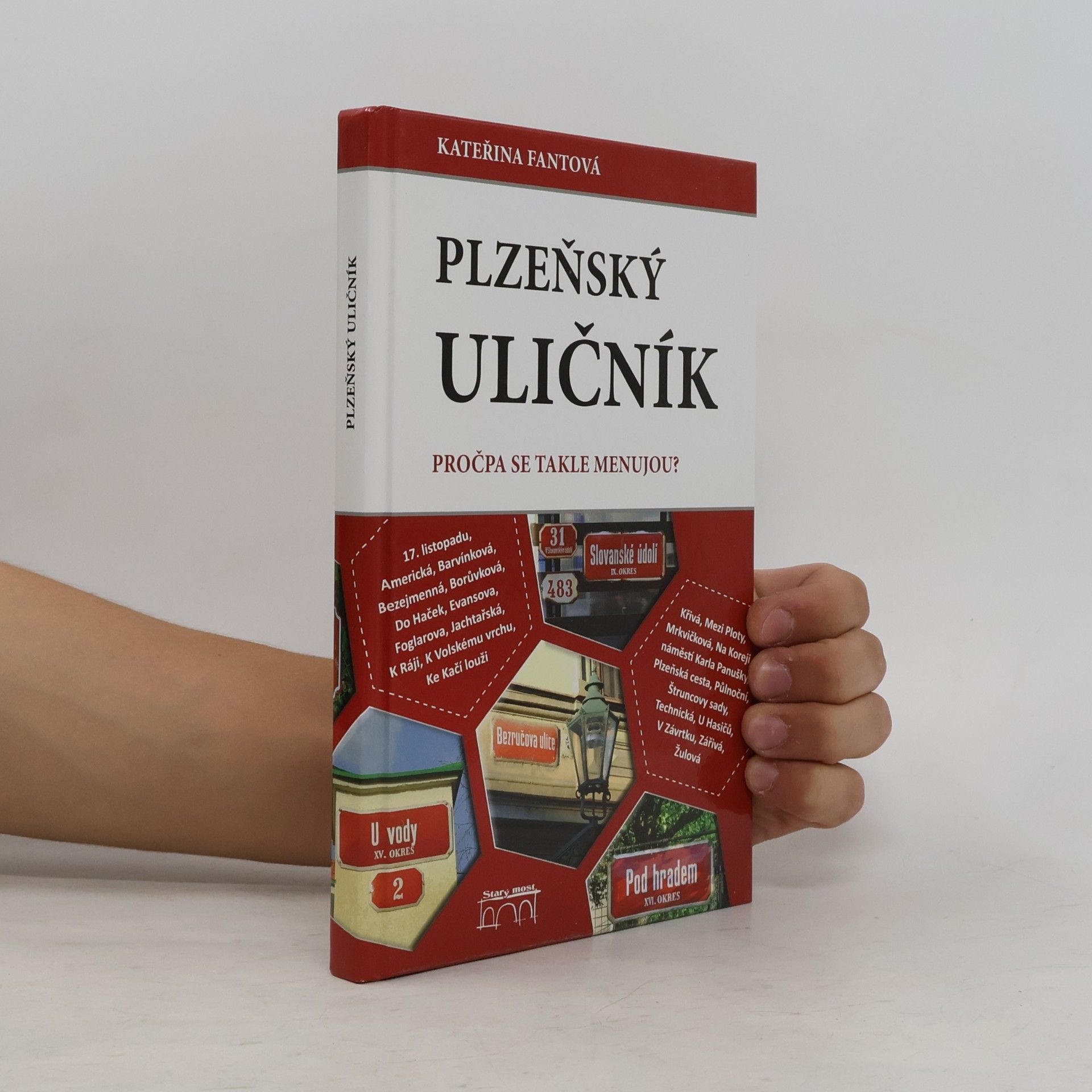 Plzeňský uličník
